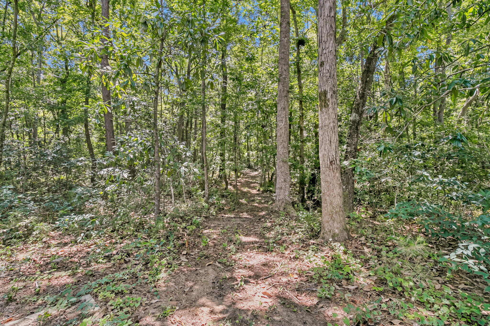 2895 Fagan Way
