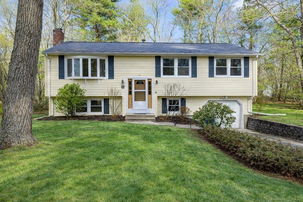 41 Dunster Rd