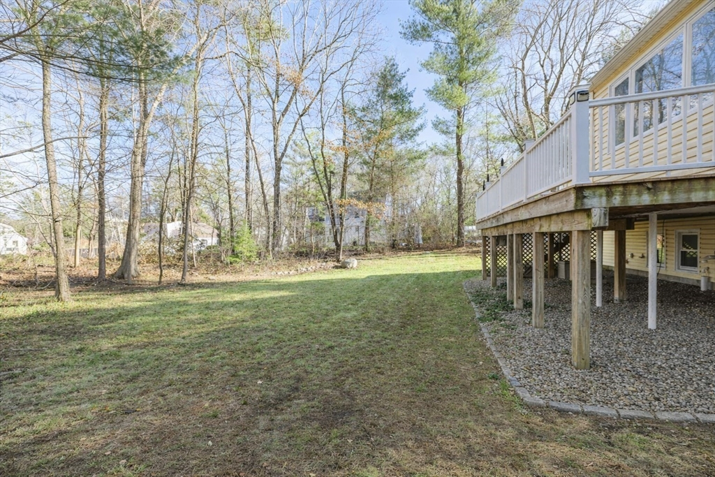 41 Dunster Rd
