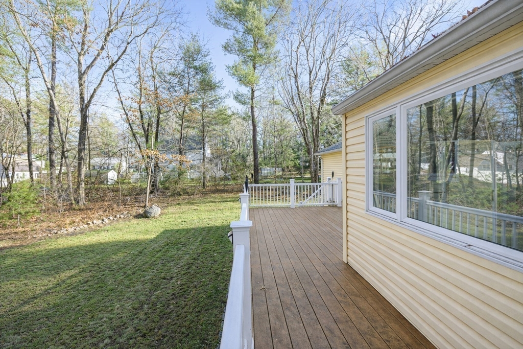 41 Dunster Rd