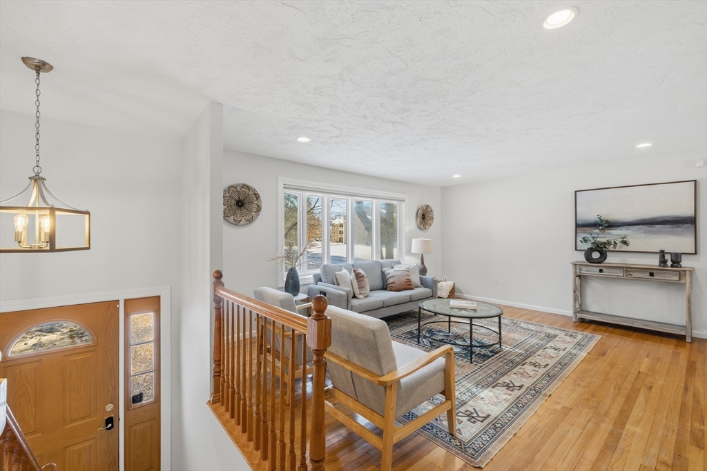 41 Dunster Rd