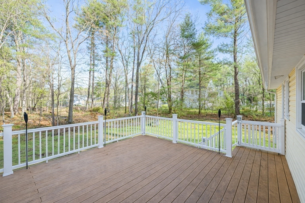 41 Dunster Rd