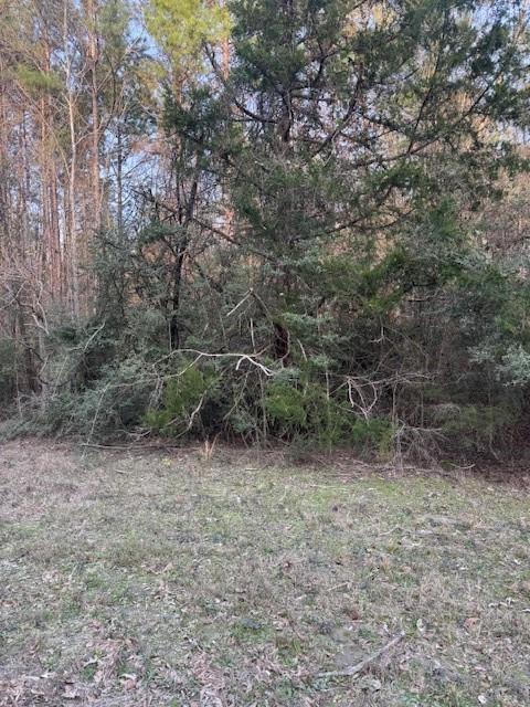 TBD Piney Creek Subdivision