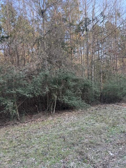 TBD Piney Creek Subdivision