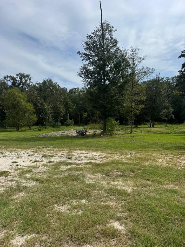 Grassy property clearing with sandy soil patches and mature trees along the back edge.