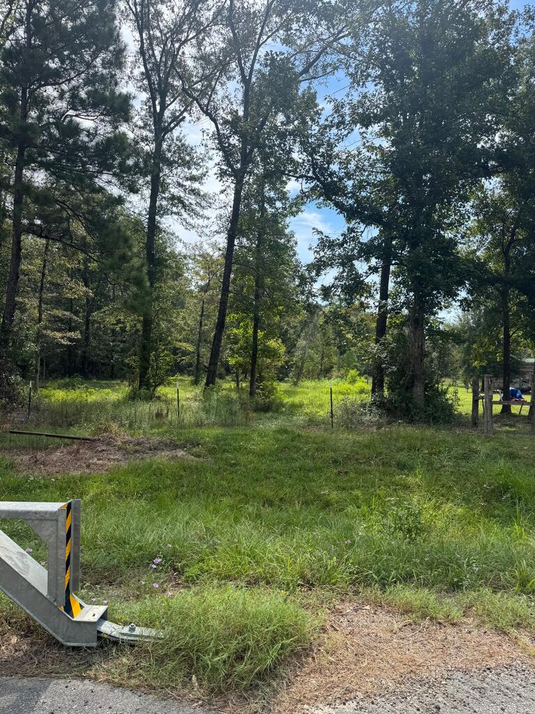 Wooded property with a grassy clearing, mature trees, and a metal gate beside the road.