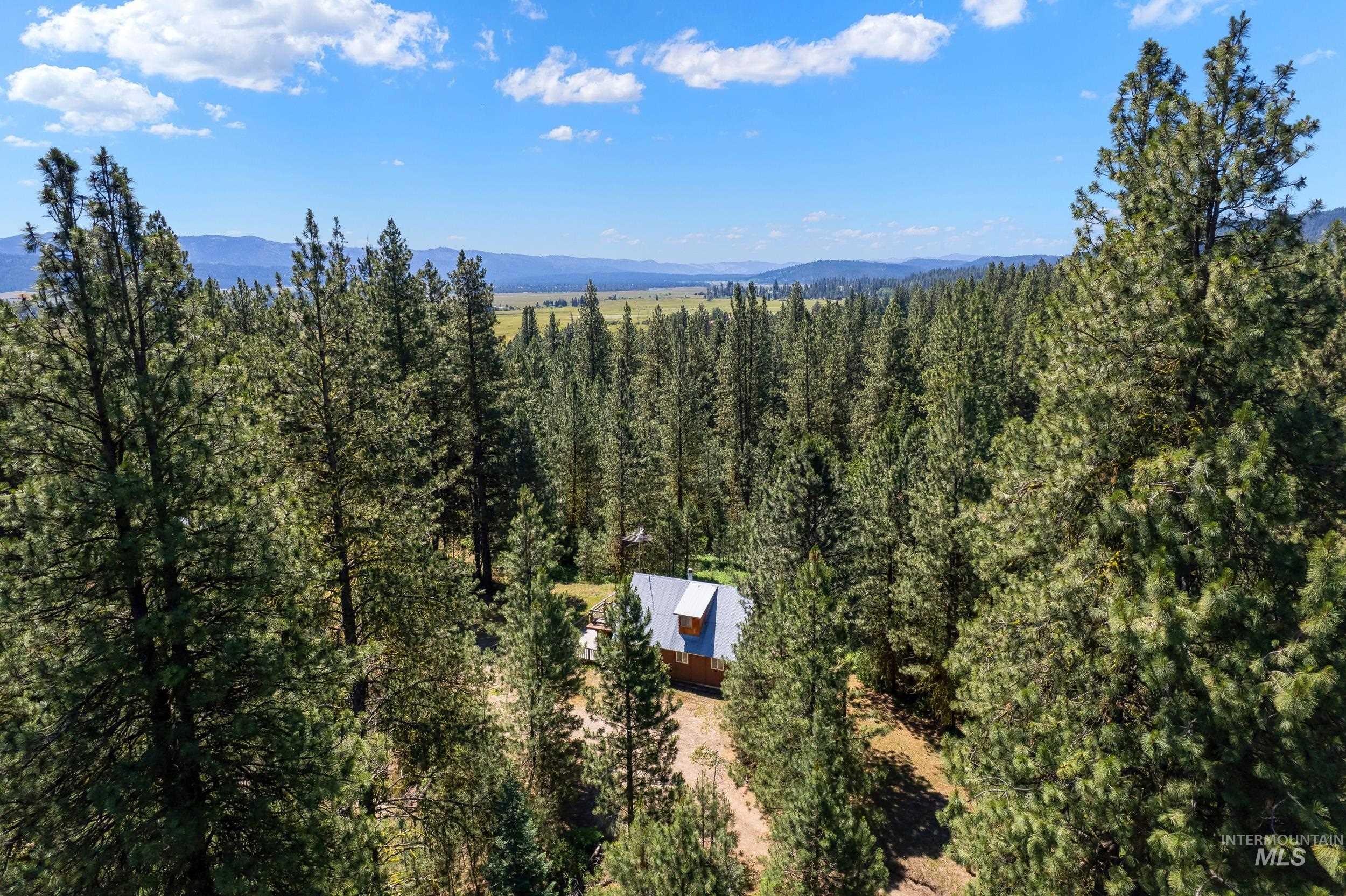207 Ponderosa Lane