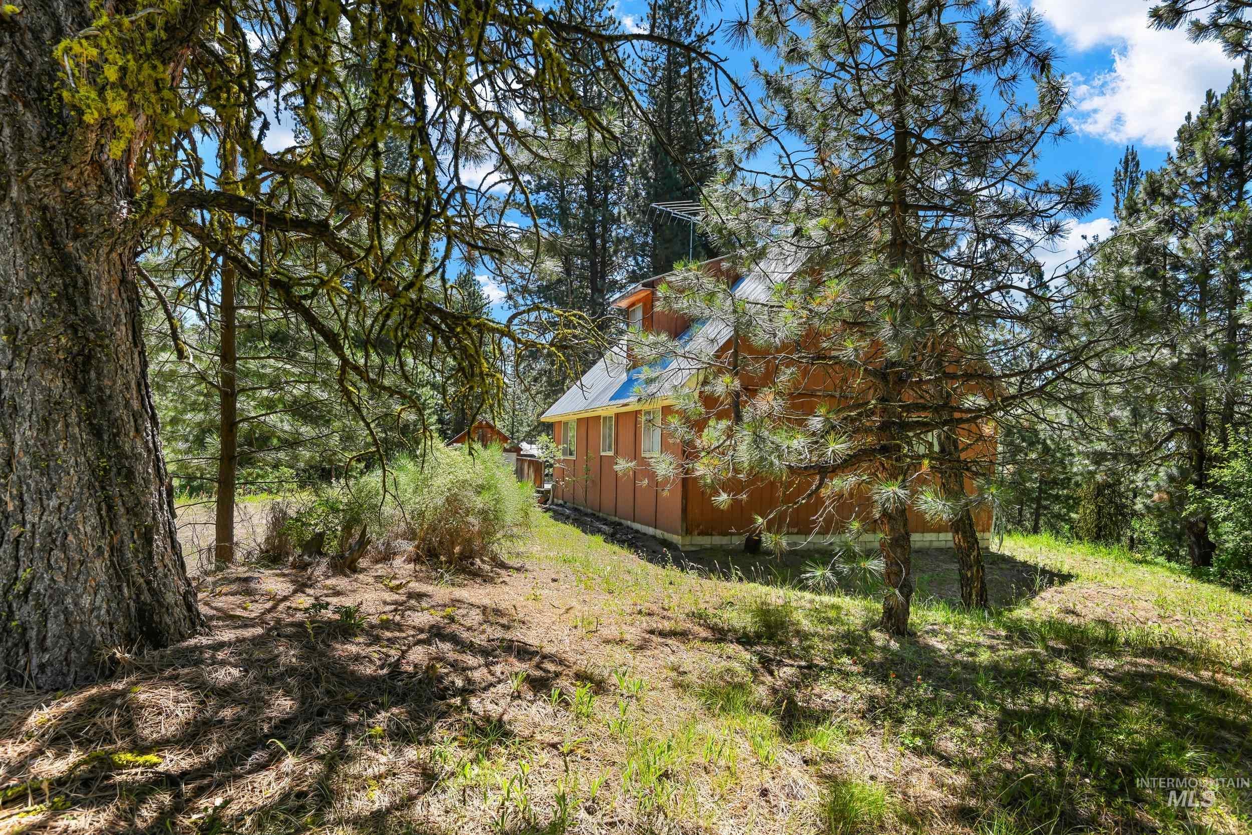 207 Ponderosa Lane
