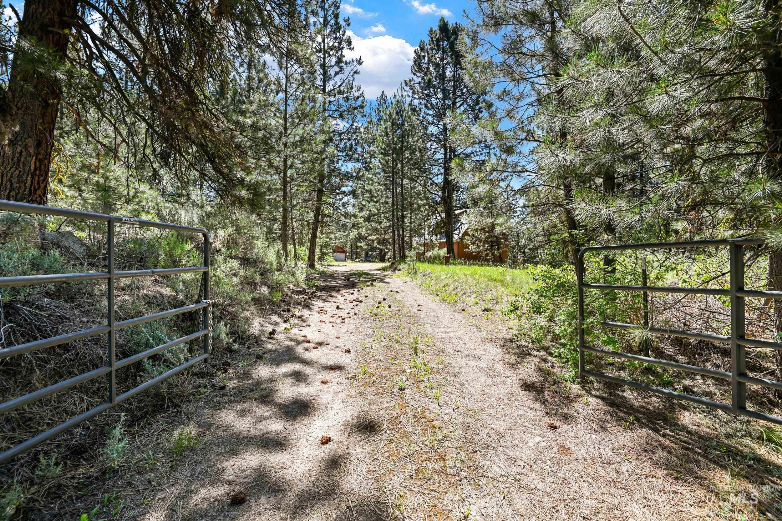 207 Ponderosa Lane