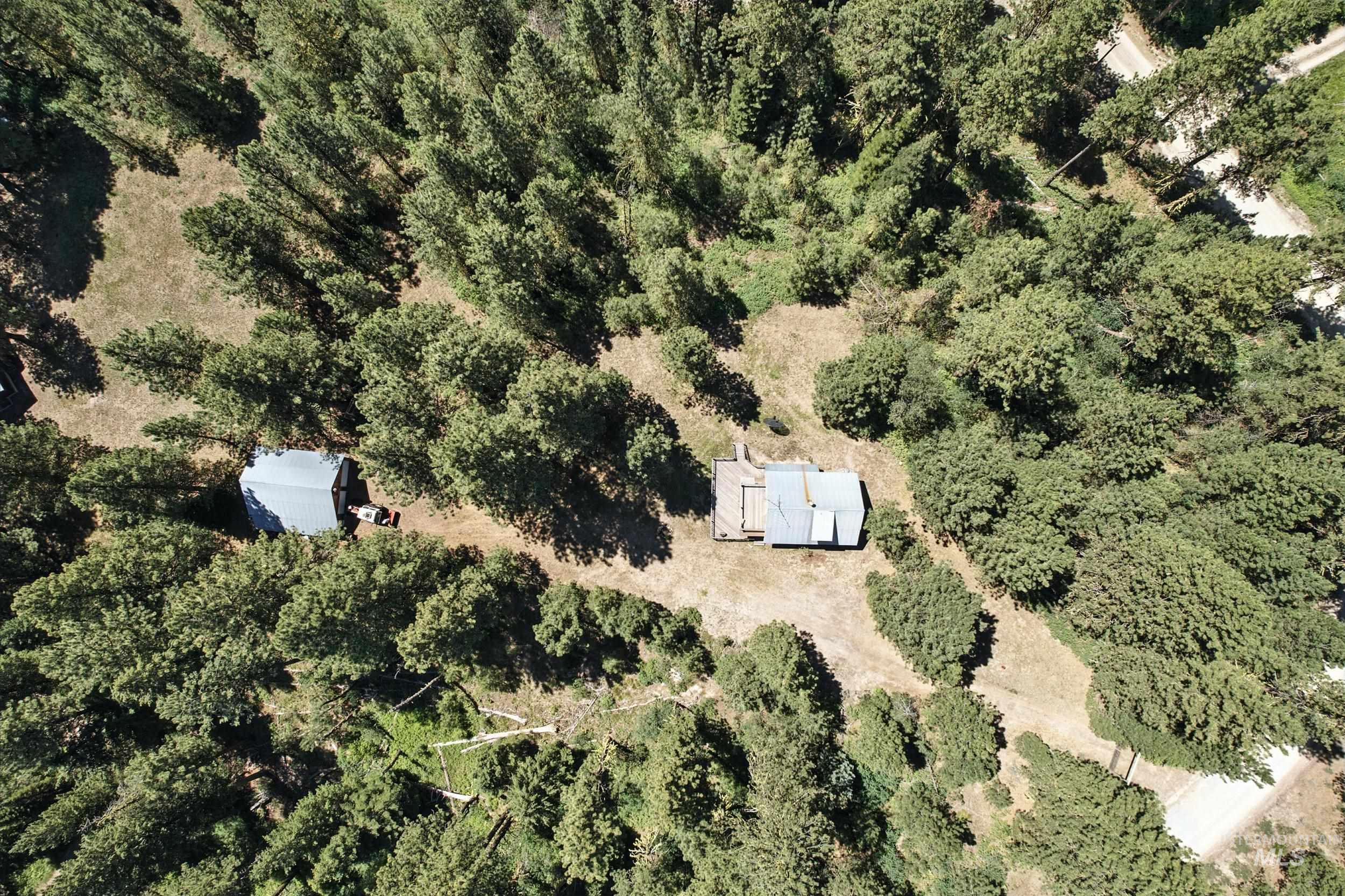 207 Ponderosa Lane