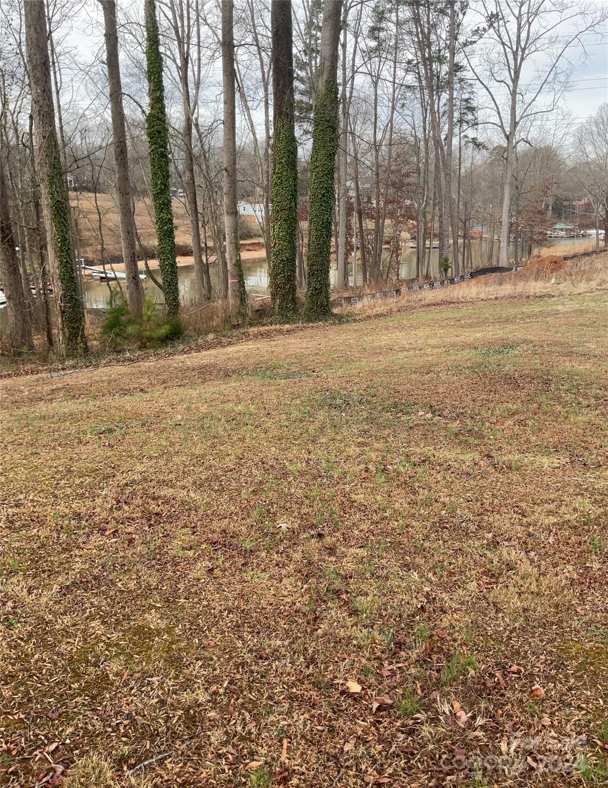 Lot 1 Wildlife Lane Unit: 1