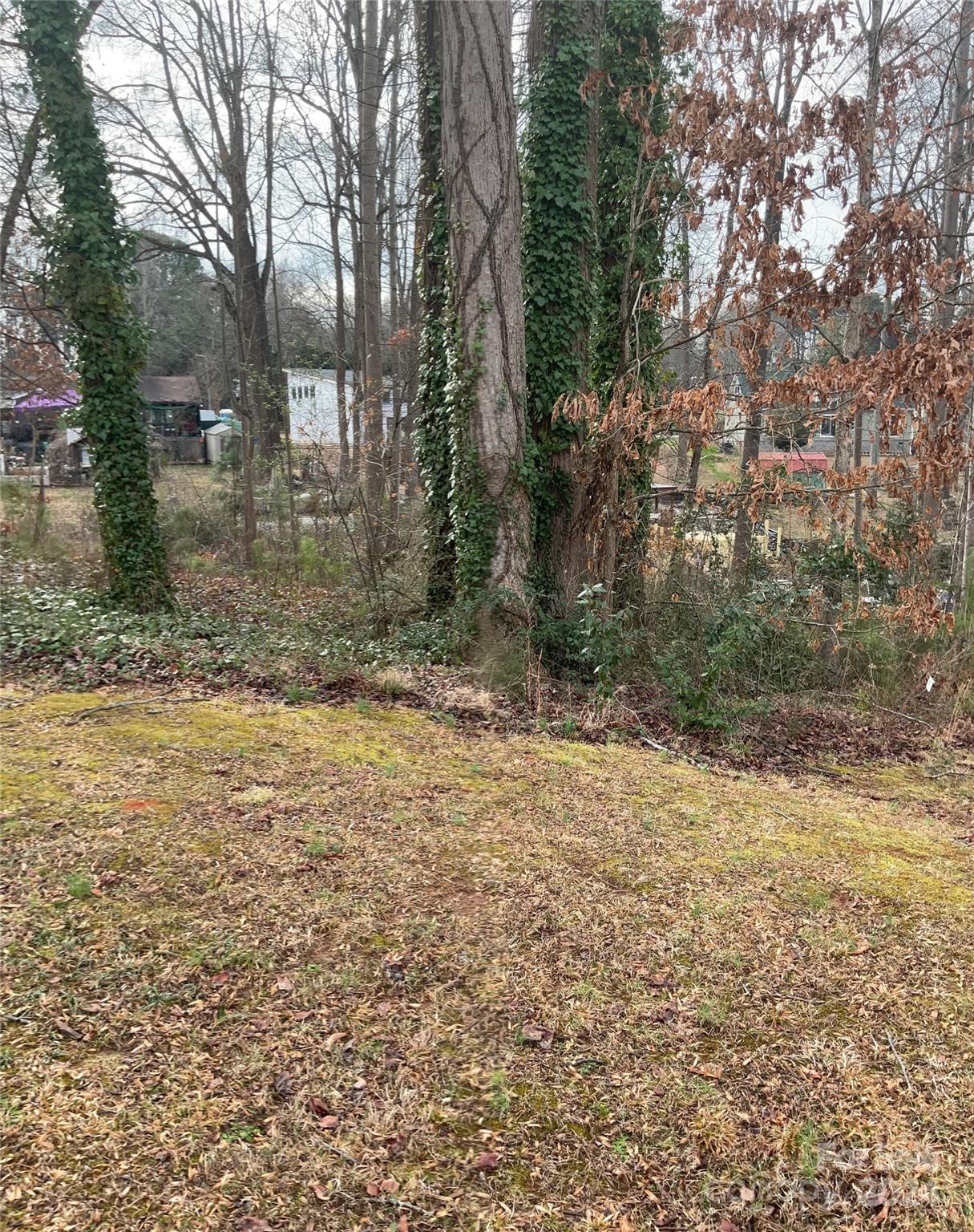 Lot 1 Wildlife Lane Unit: 1