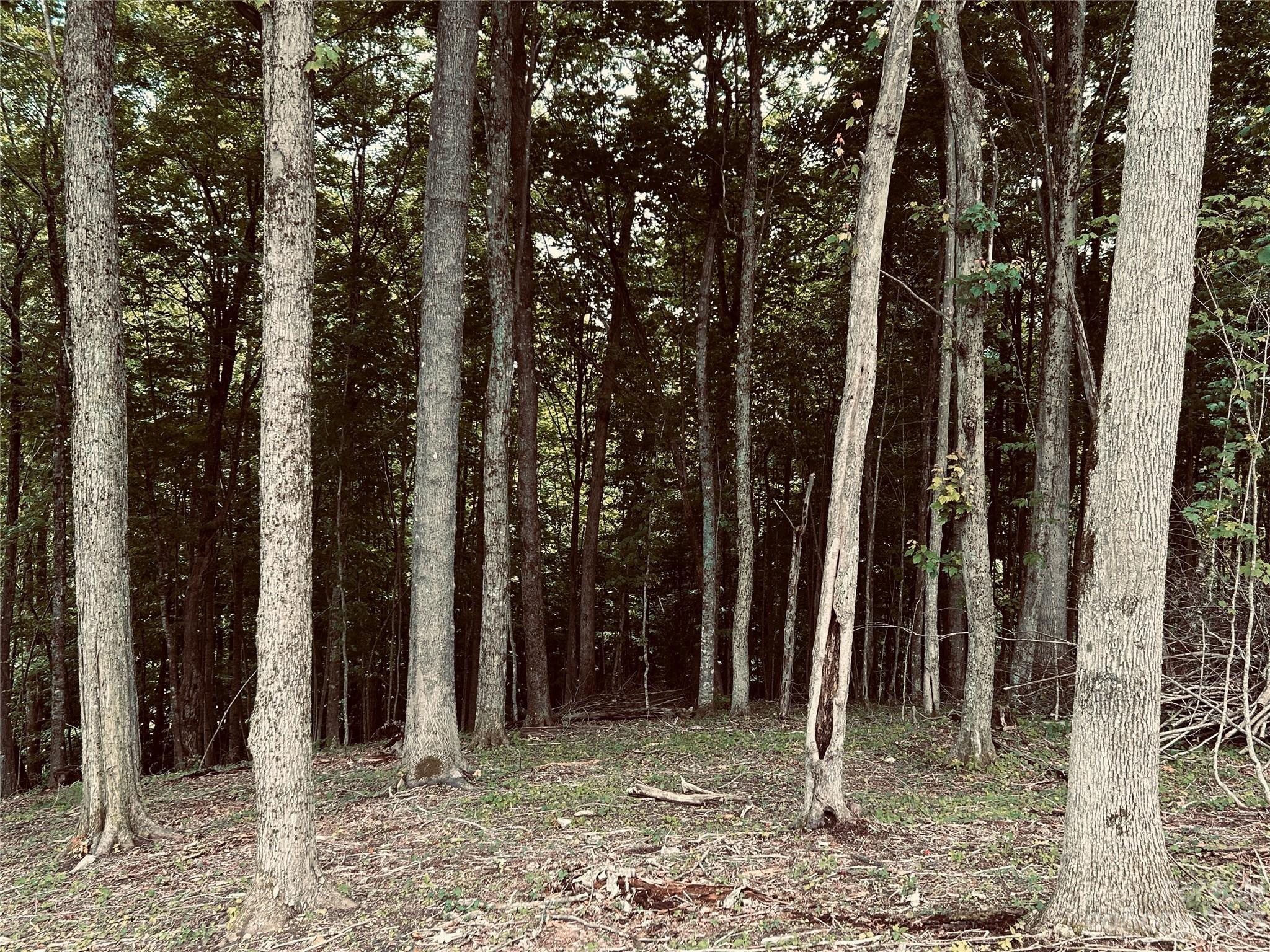 Lot 64 Poplar Forest Drive