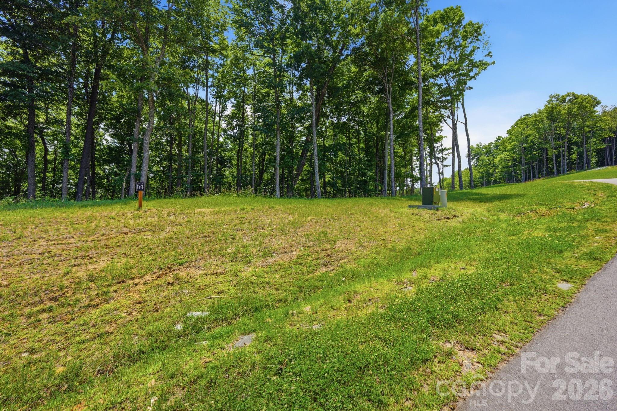 Lot 64 Poplar Forest Drive