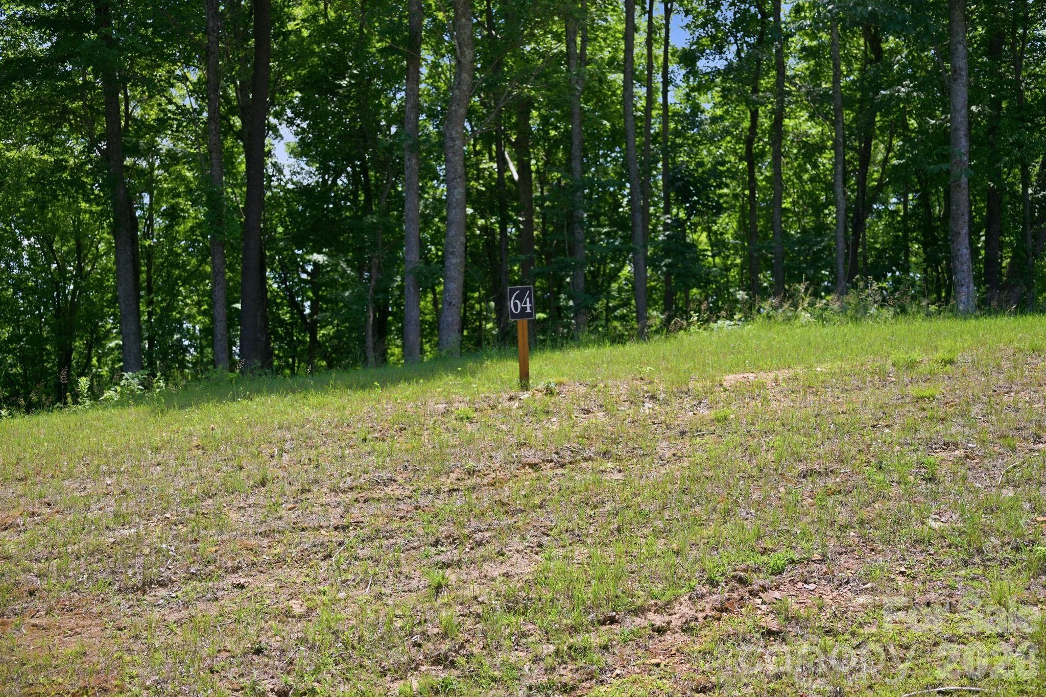 Lot 64 Poplar Forest Drive