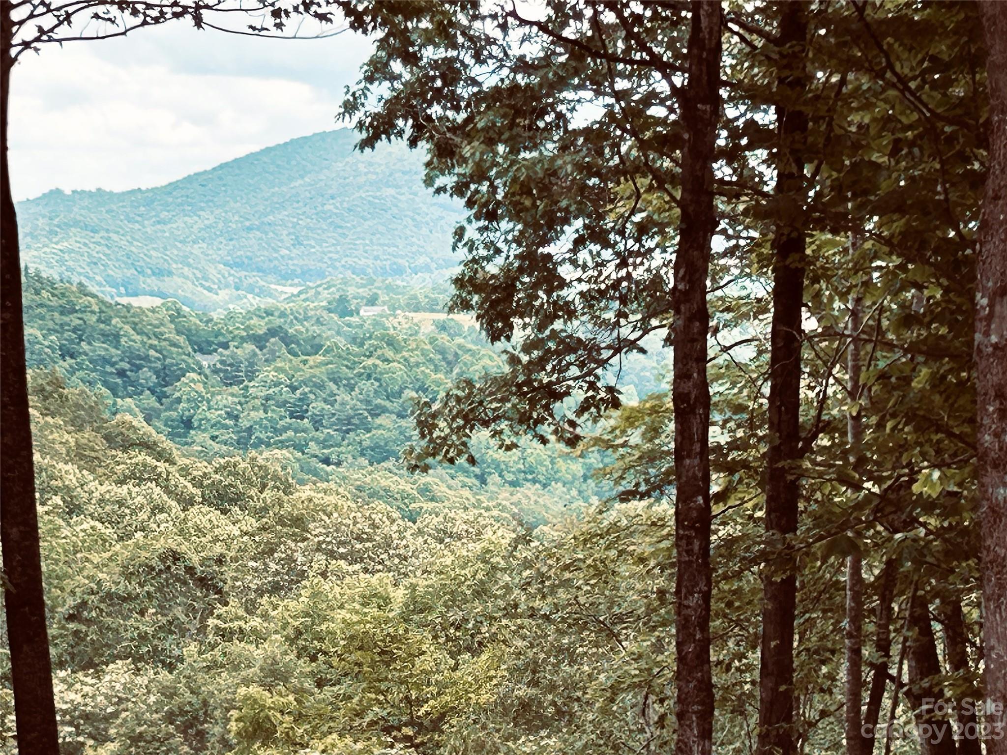 Lot 64 Poplar Forest Drive