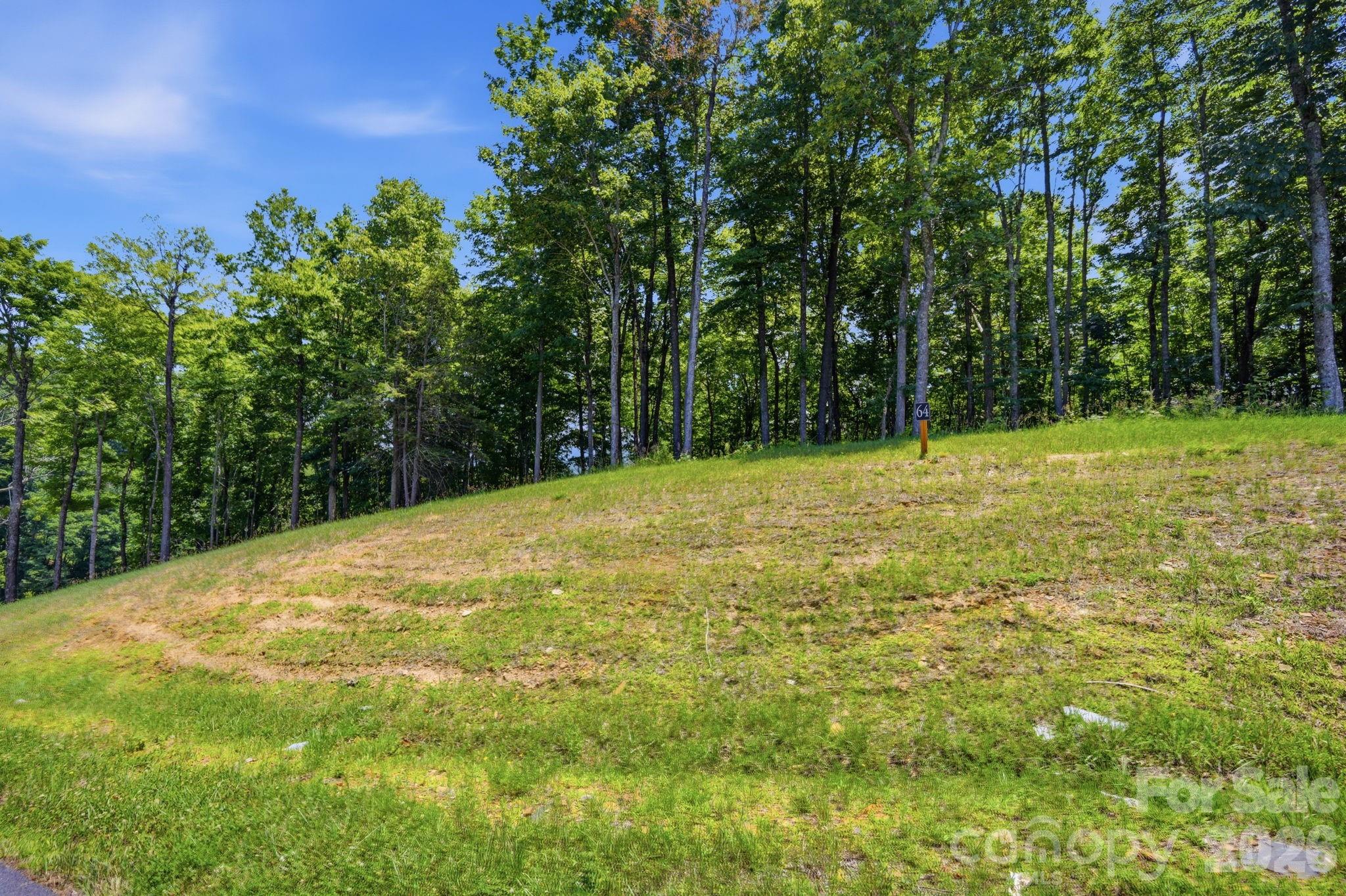 Lot 64 Poplar Forest Drive
