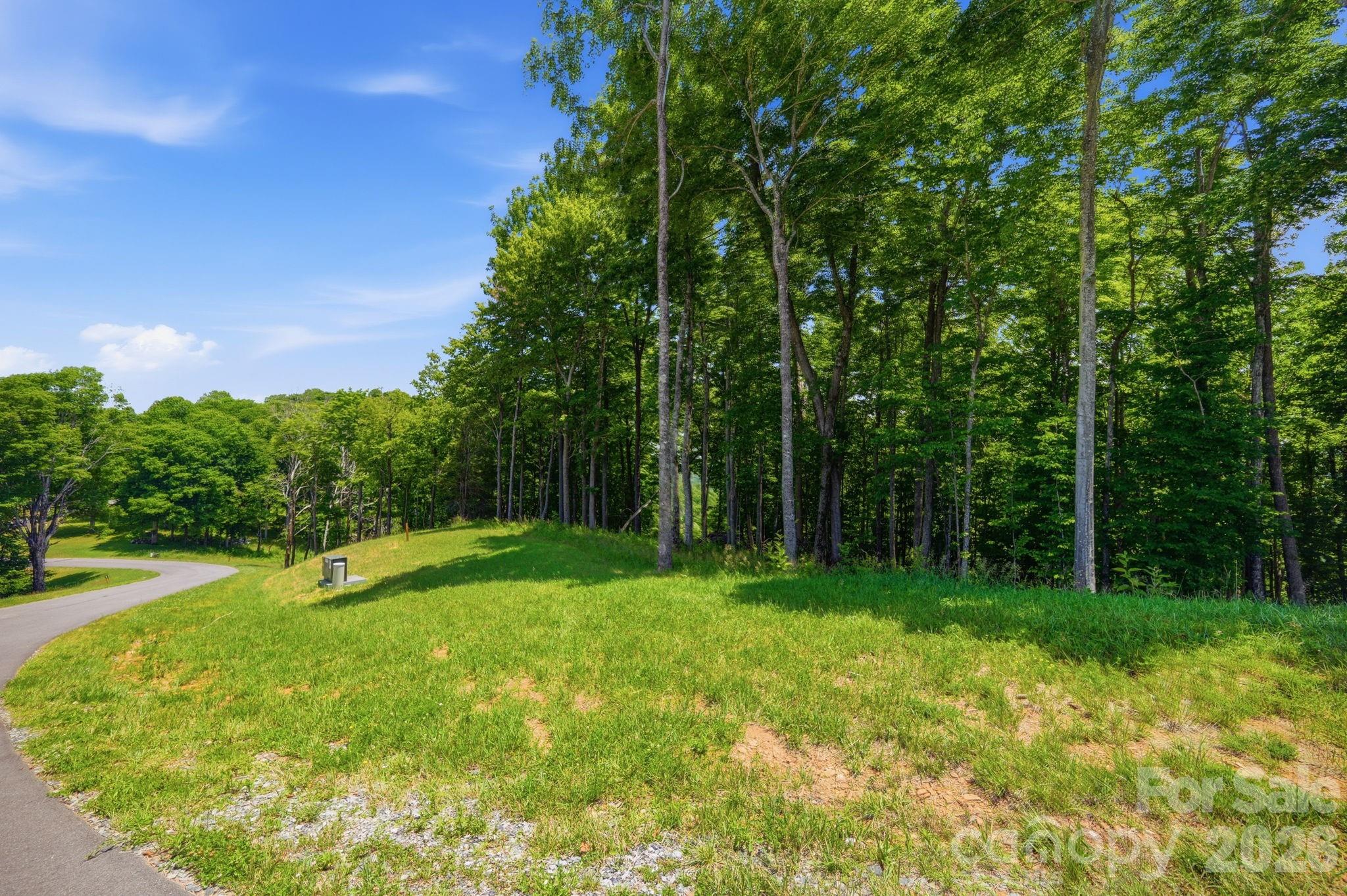 Lot 64 Poplar Forest Drive