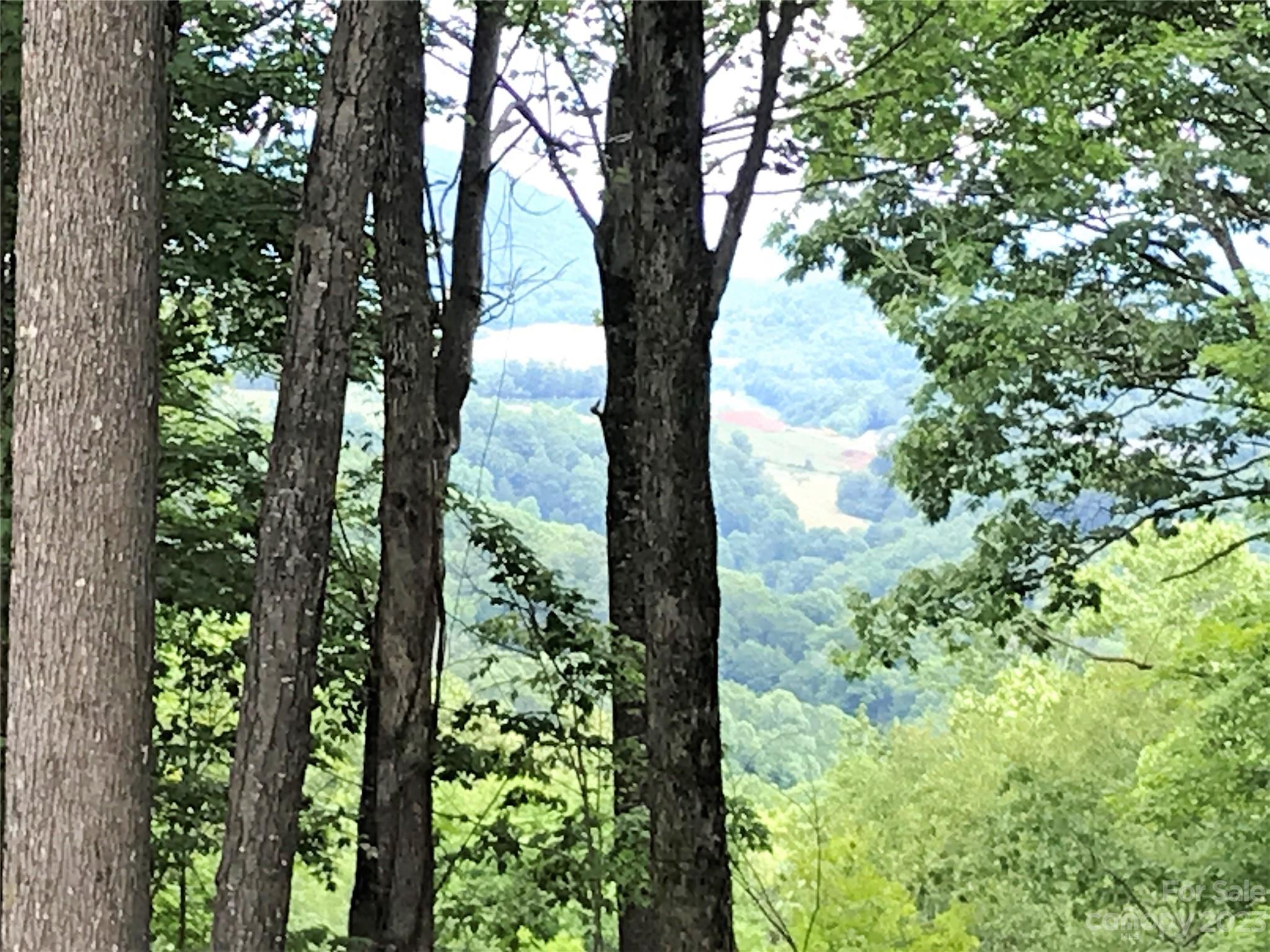 Lot 64 Poplar Forest Drive