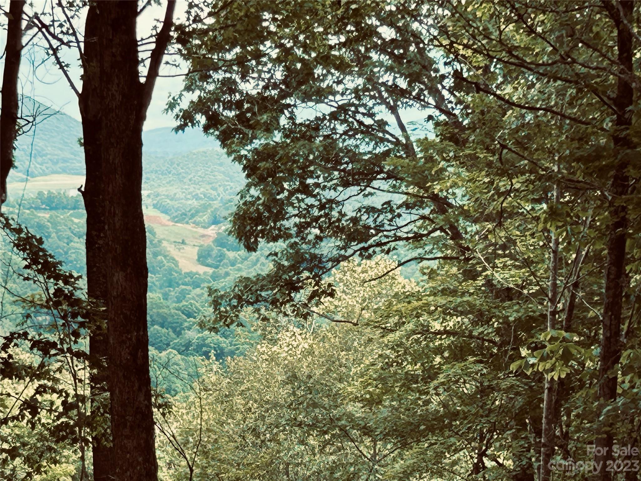 Lot 64 Poplar Forest Drive