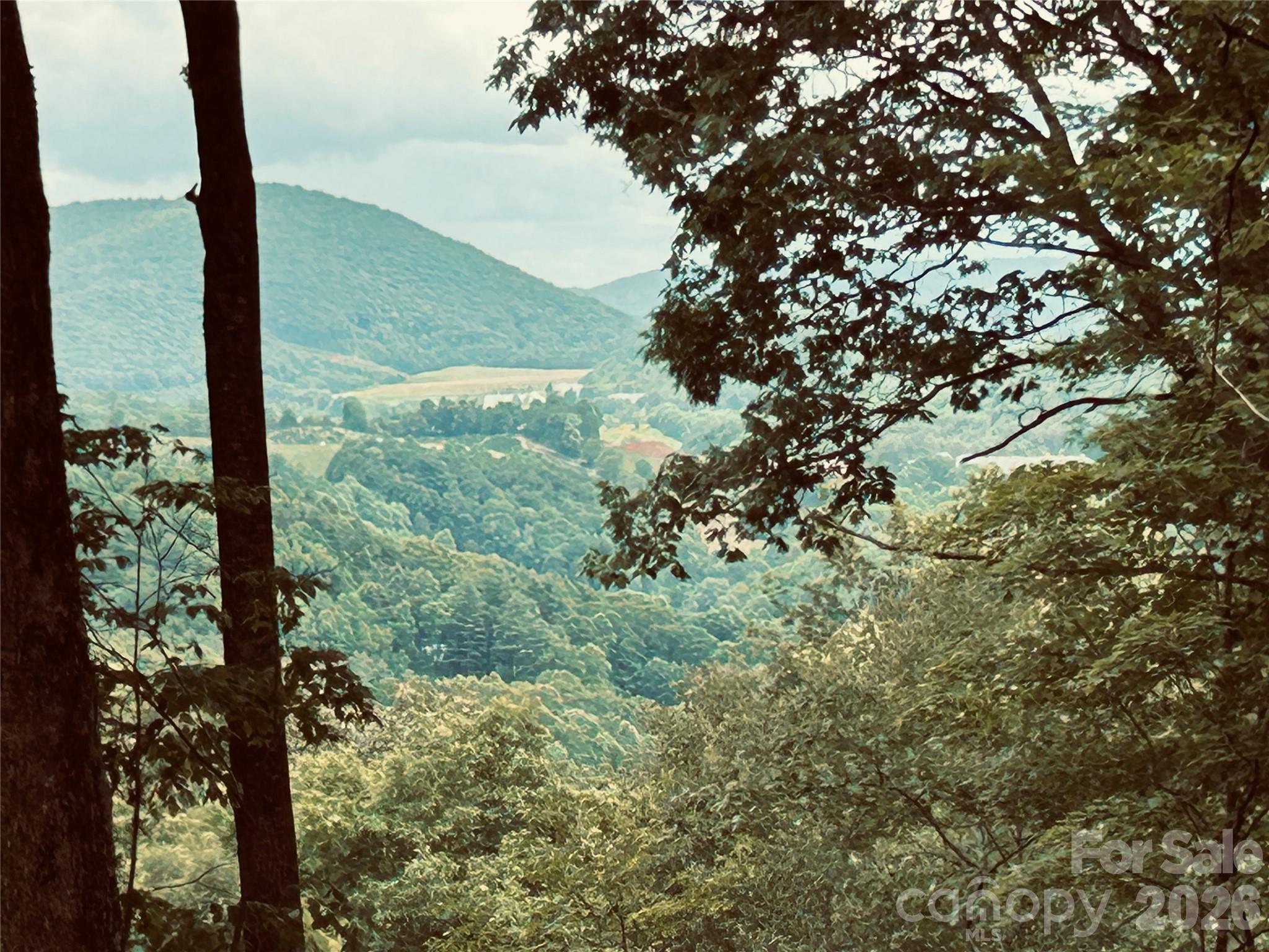 Lot 64 Poplar Forest Drive