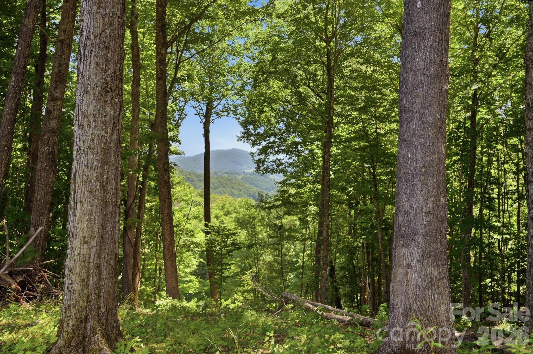 Lot 64 Poplar Forest Drive