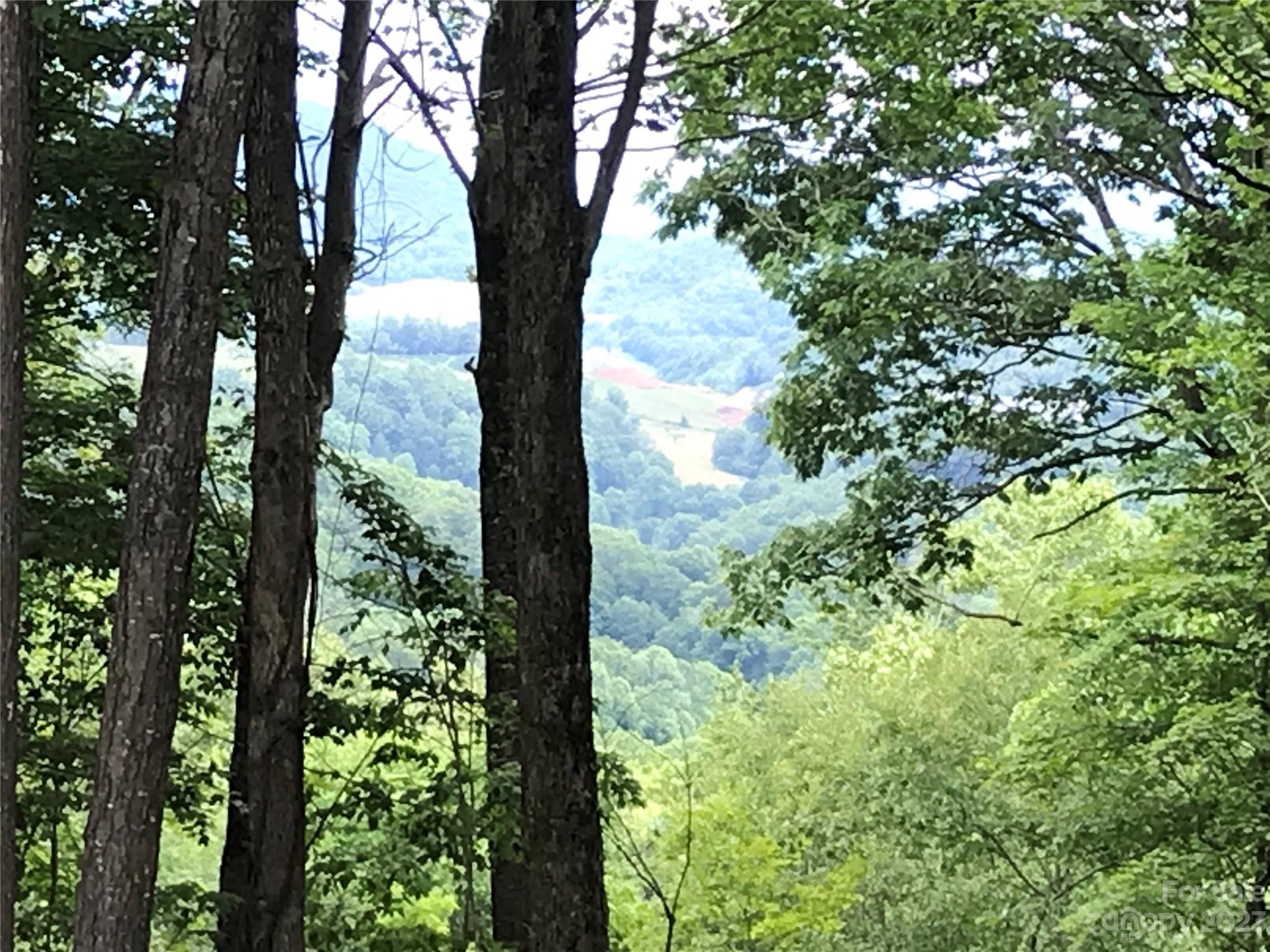 Lot 64 Poplar Forest Drive