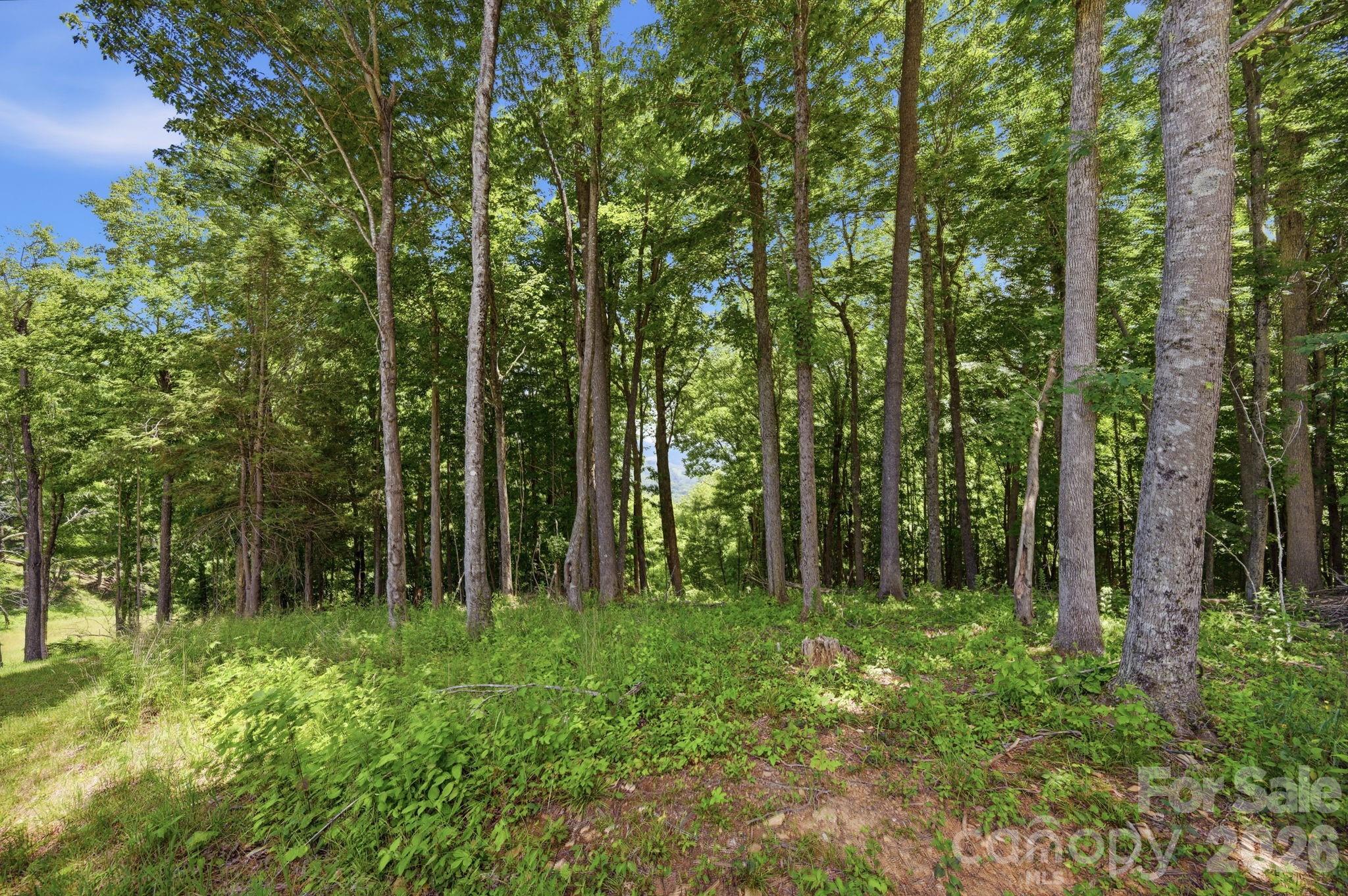 Lot 64 Poplar Forest Drive
