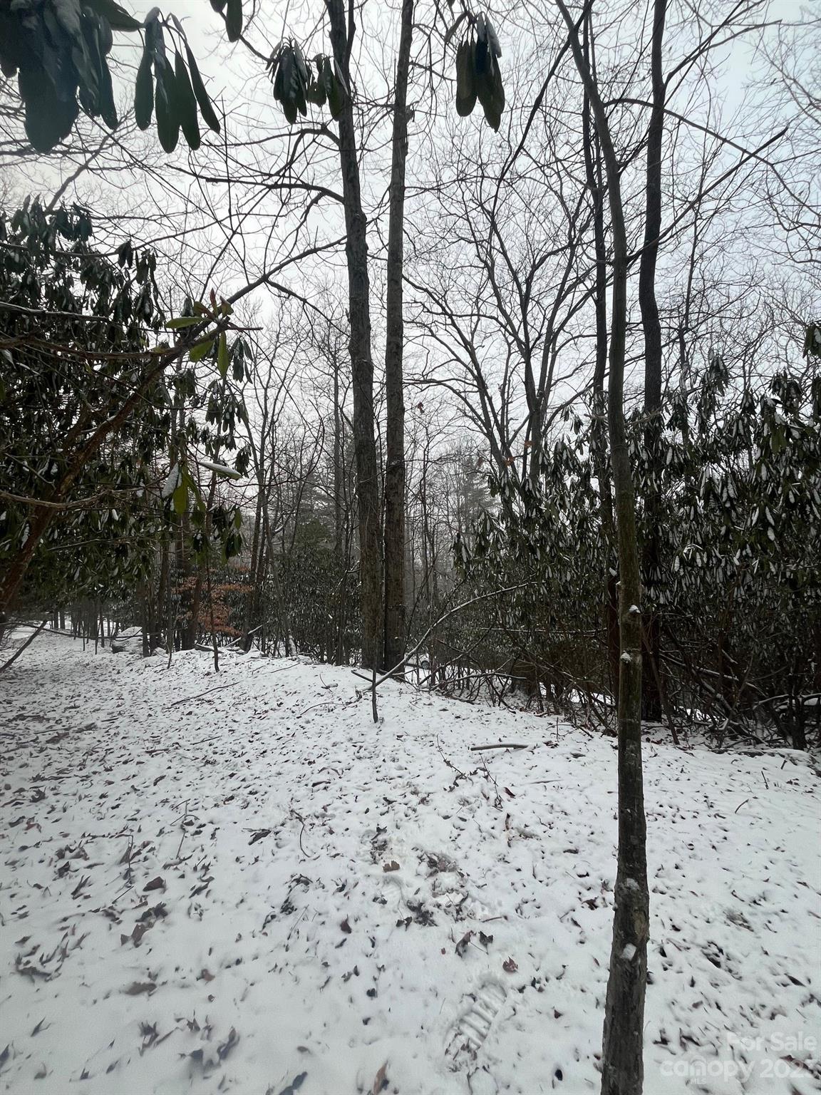 130 and 132 Teaberry Trail