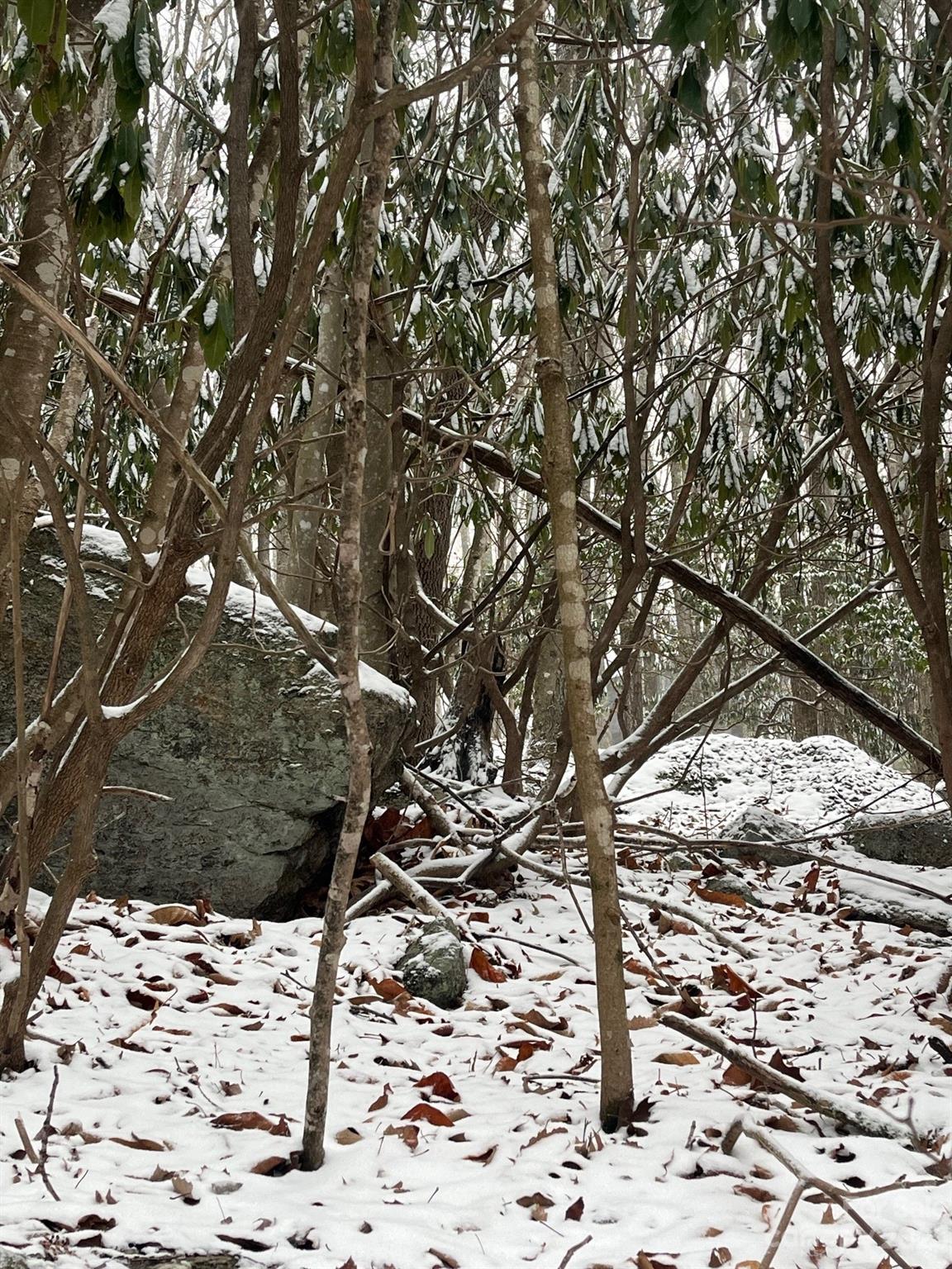 130 and 132 Teaberry Trail
