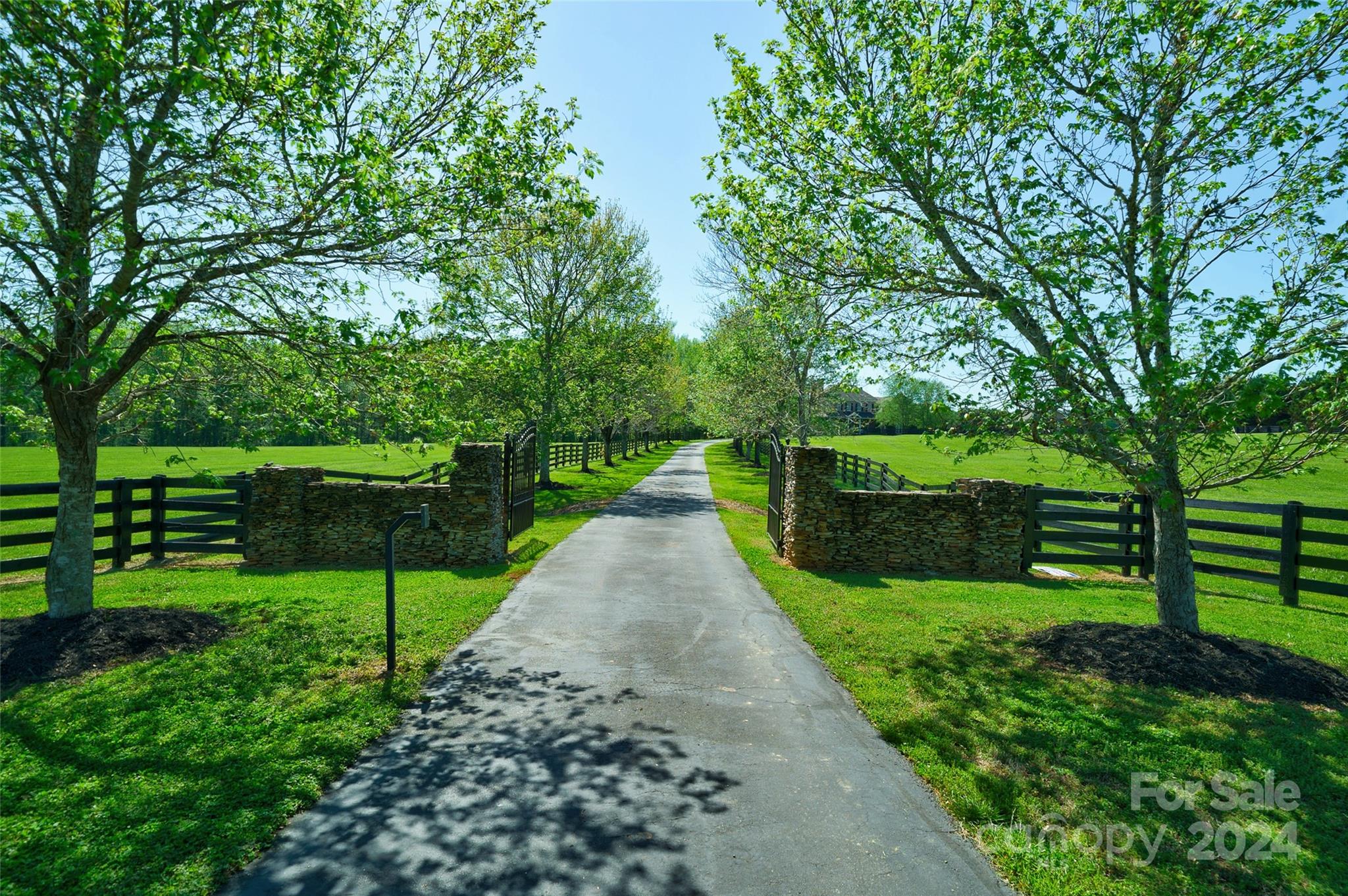 539 Tirzah Road