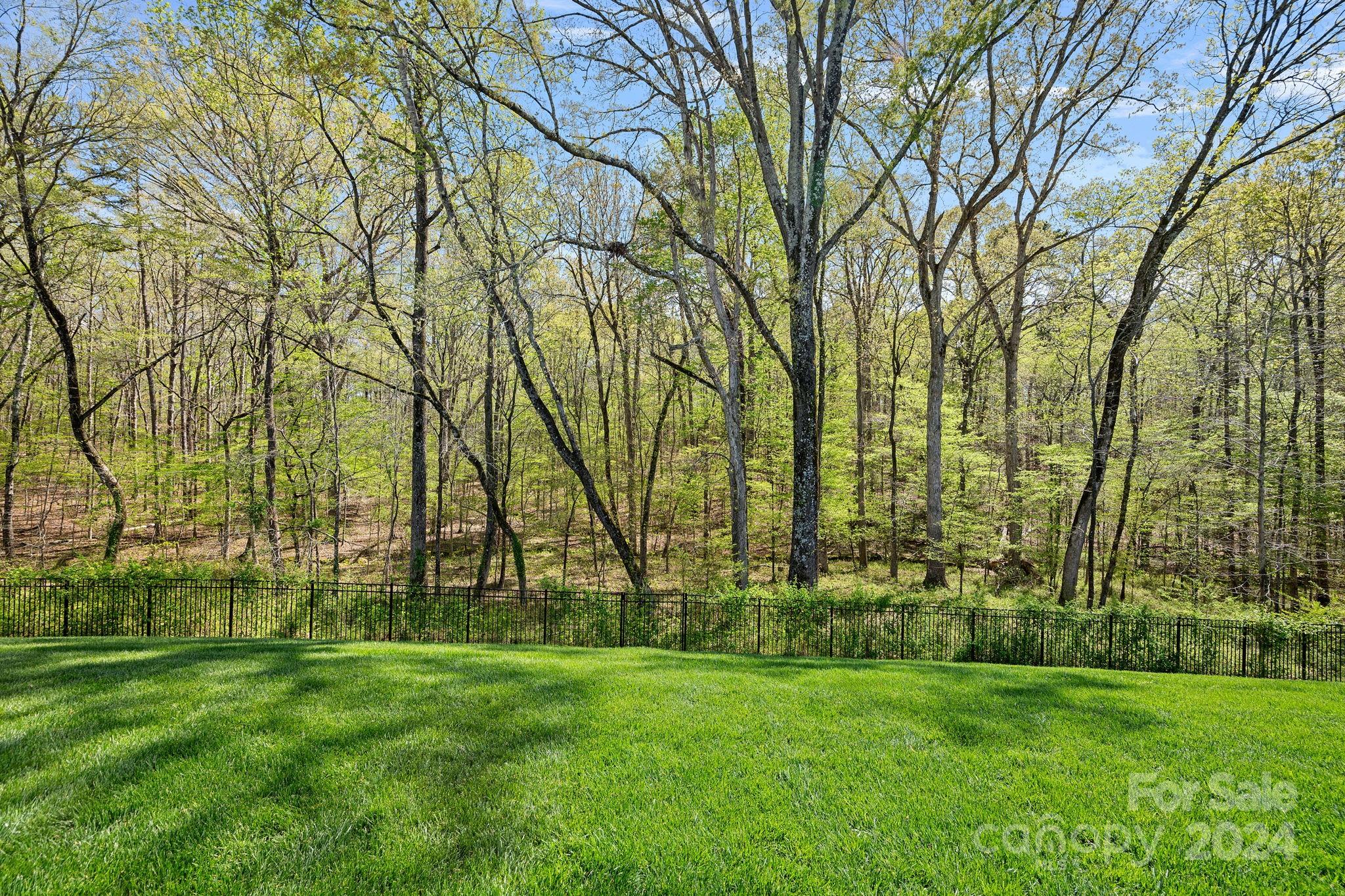 240 Hollyhock Drive