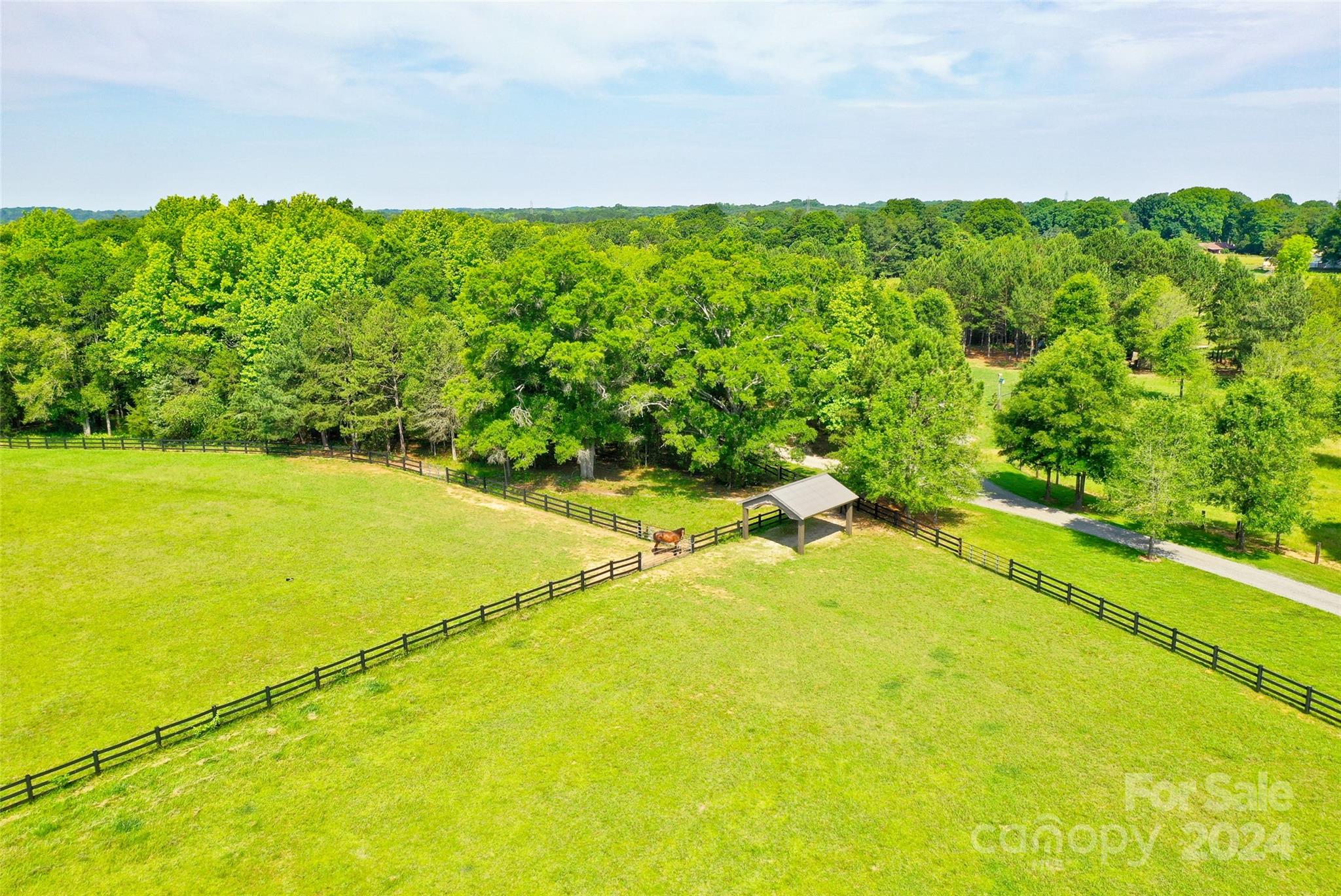 6015 Williamson Road