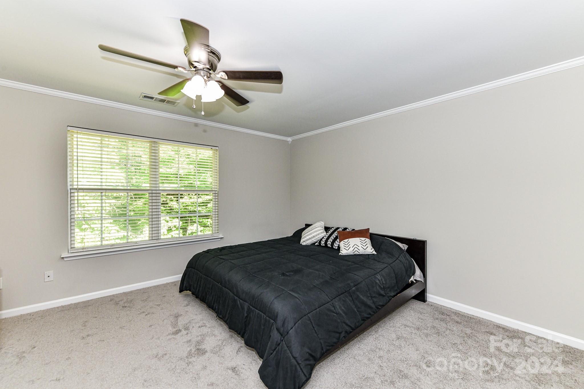 533 Delta Drive