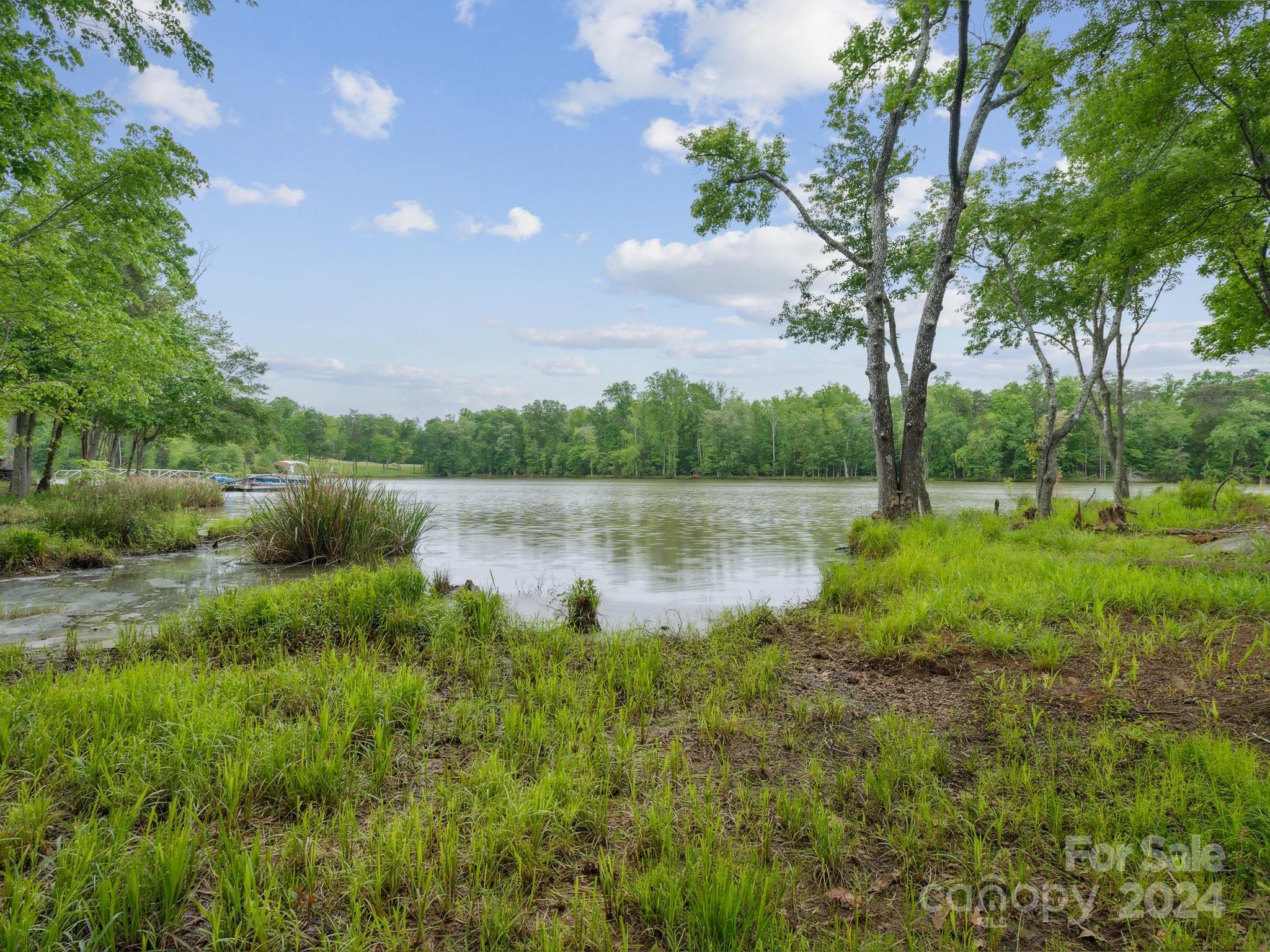 30123 Turtle Point Court