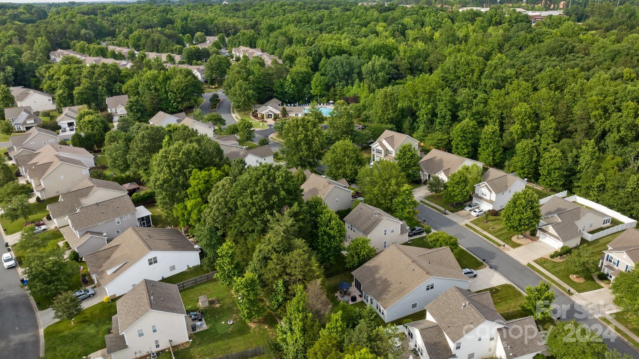 449 Silver Cypress Lane