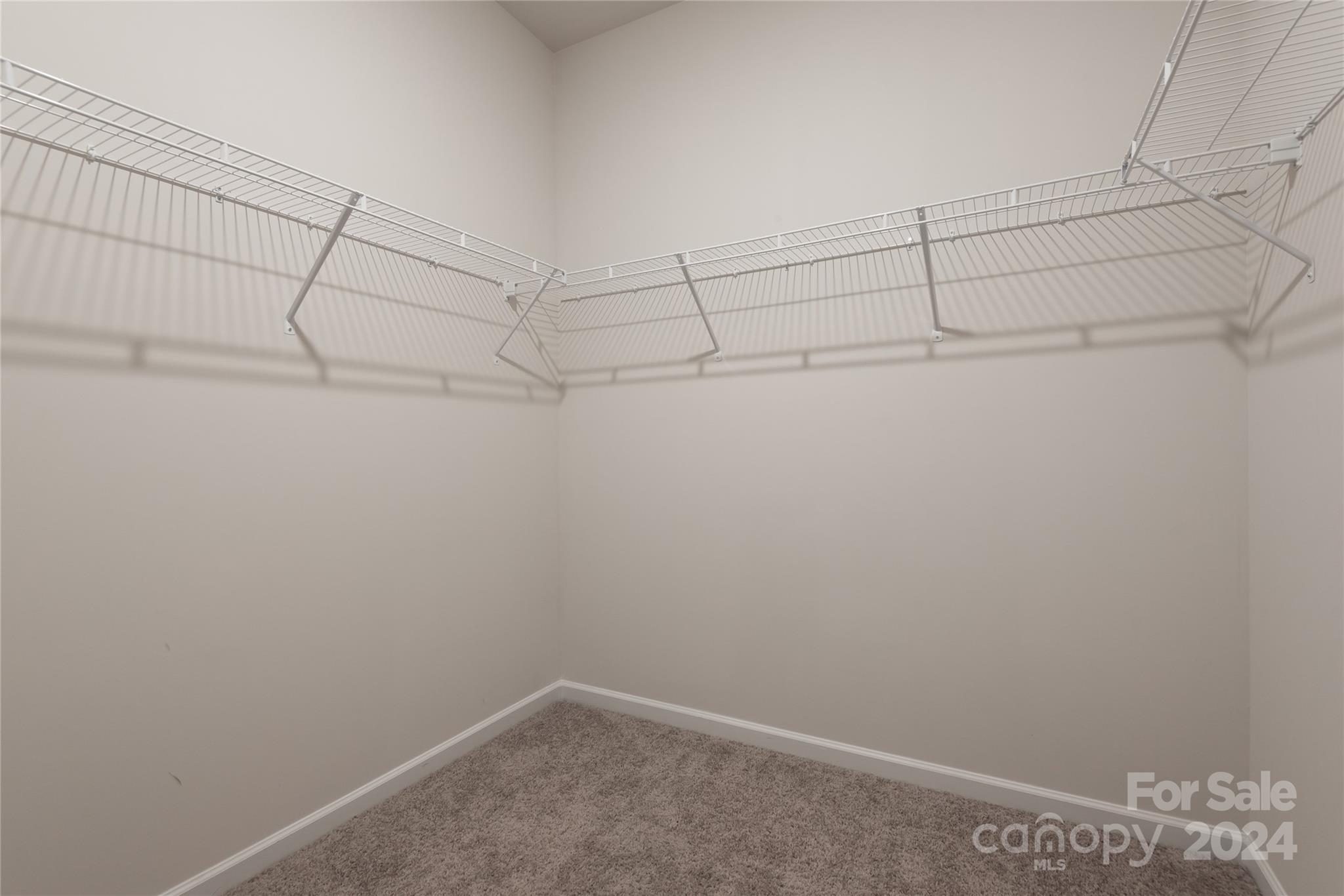 126 Flame Azalea Court