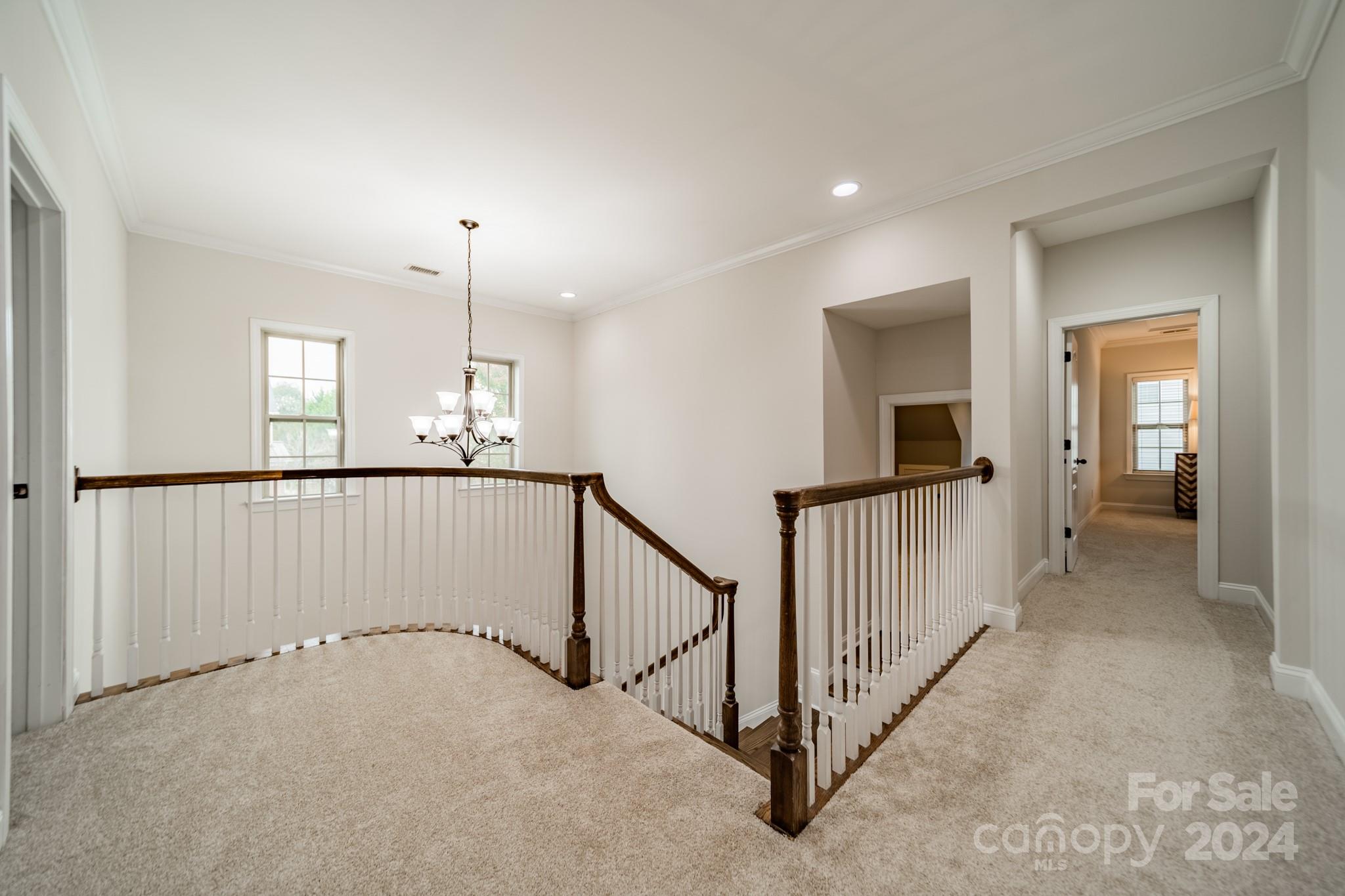 1204 Oleander Lane