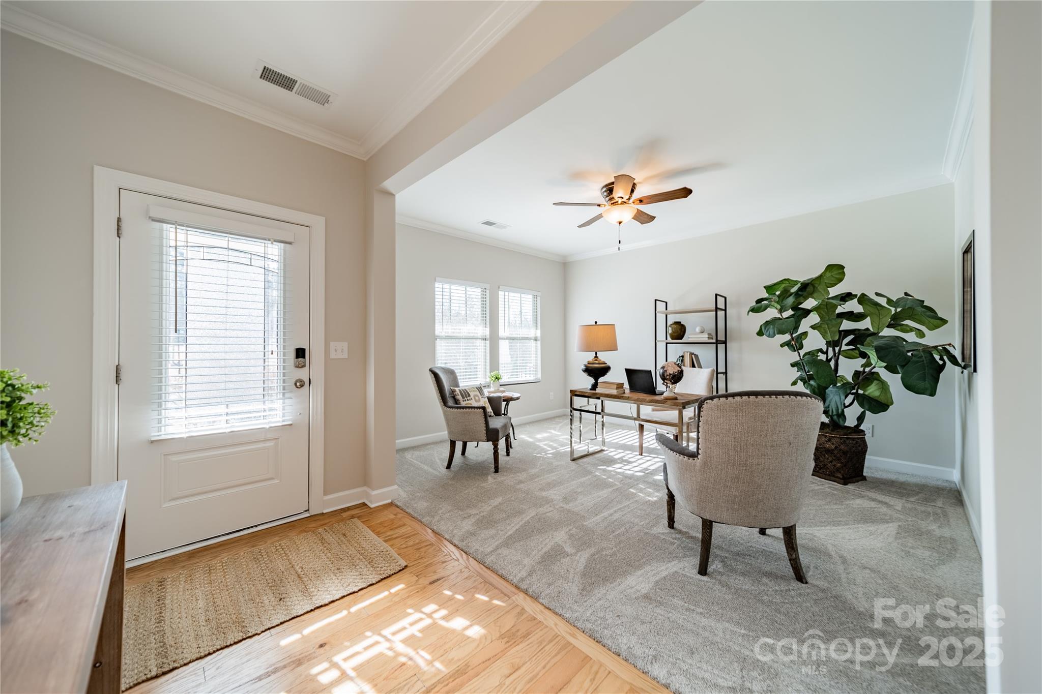 3101 Elmwood Drive