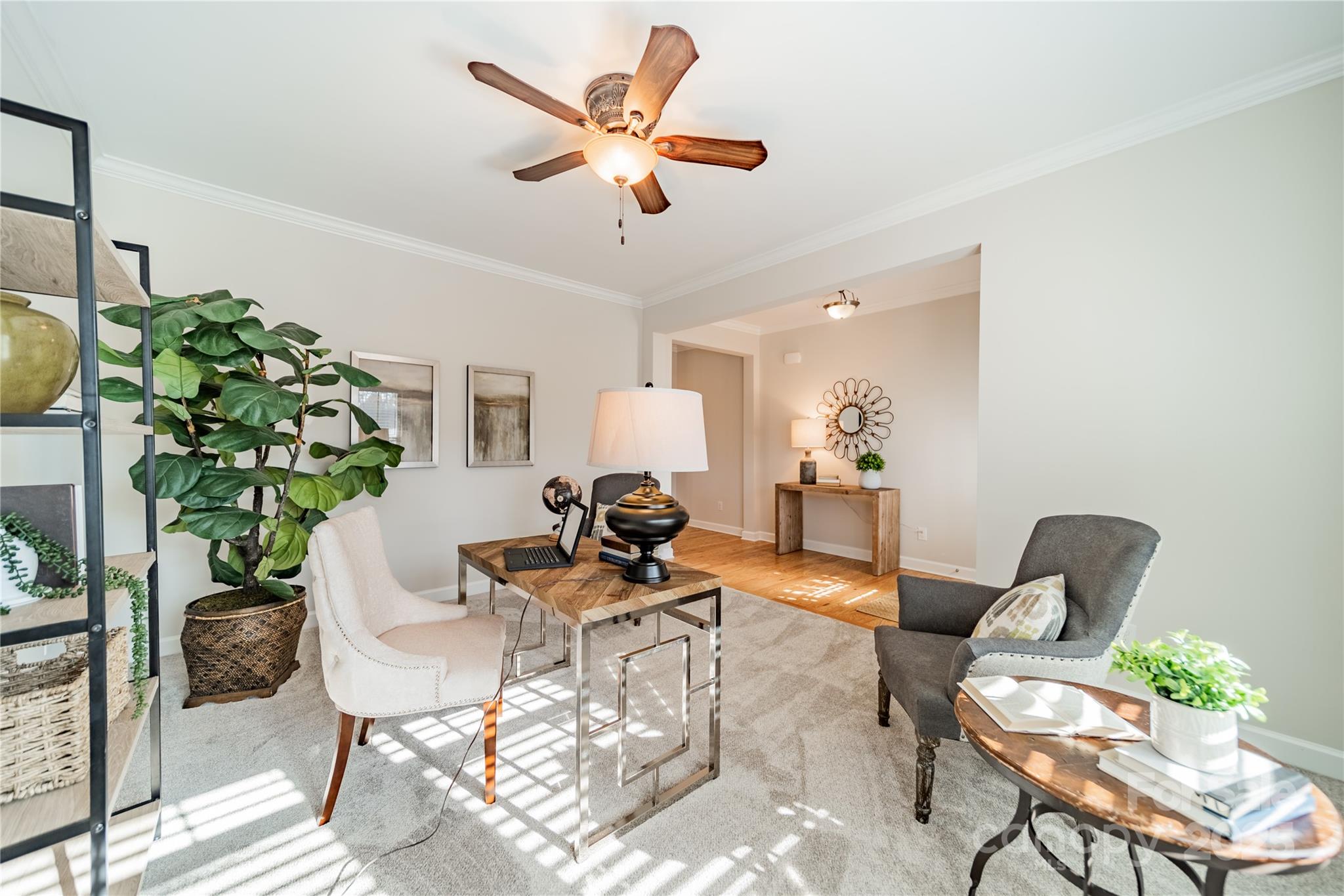 3101 Elmwood Drive