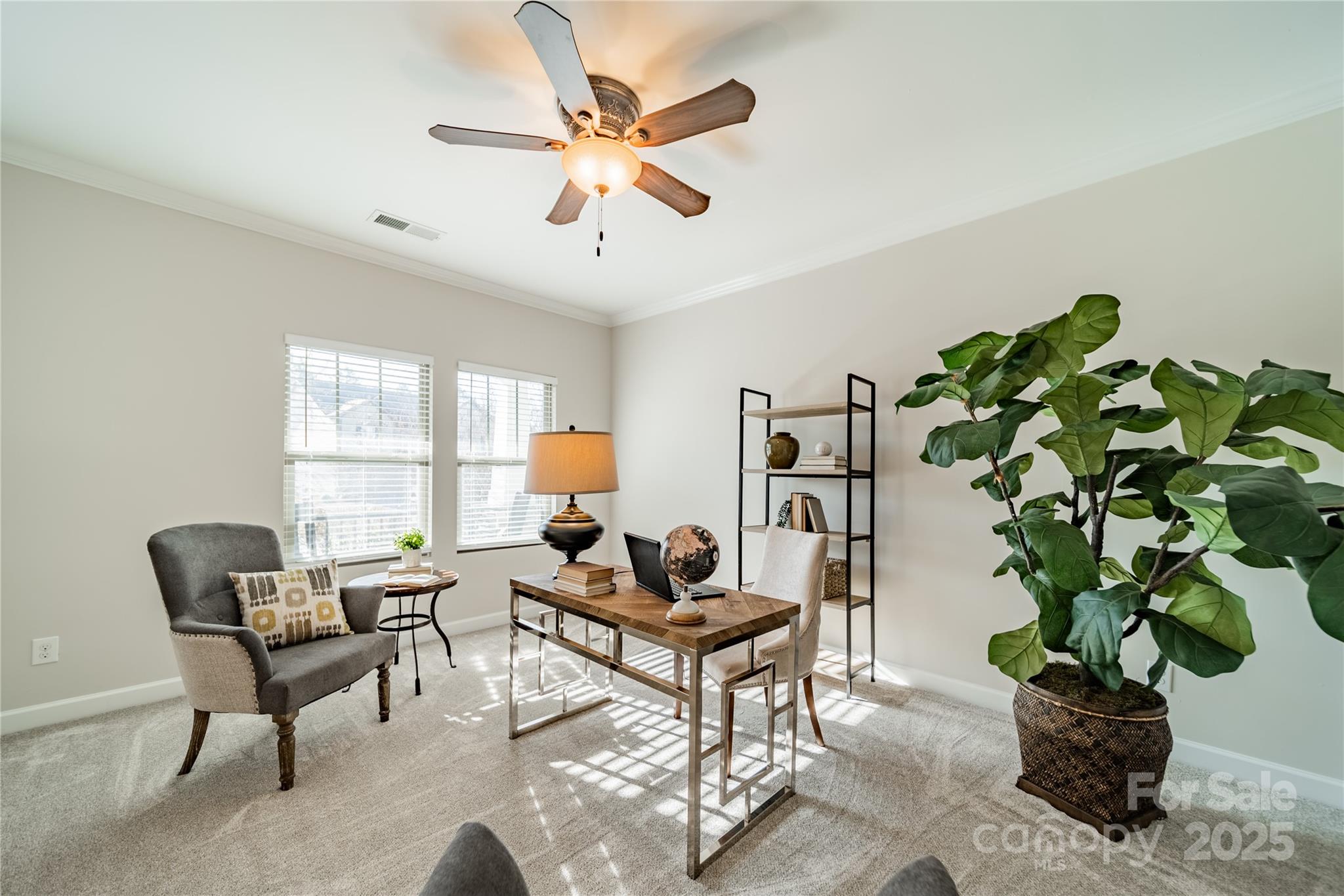 3101 Elmwood Drive