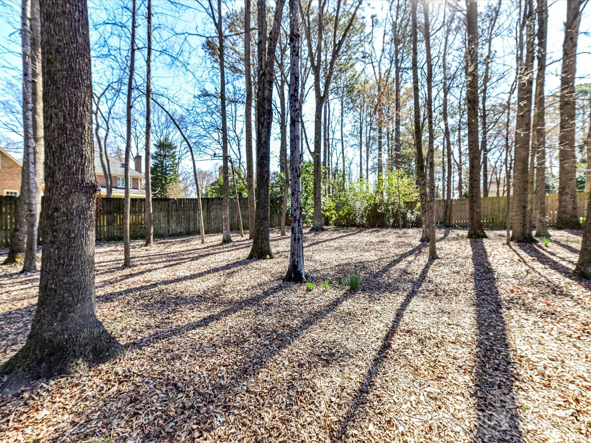 11309 Brittany Oaks Drive