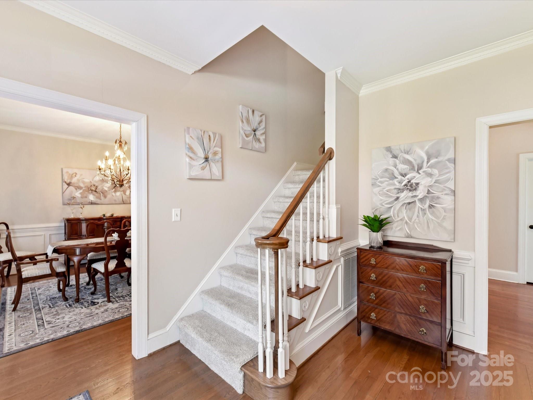 11309 Brittany Oaks Drive