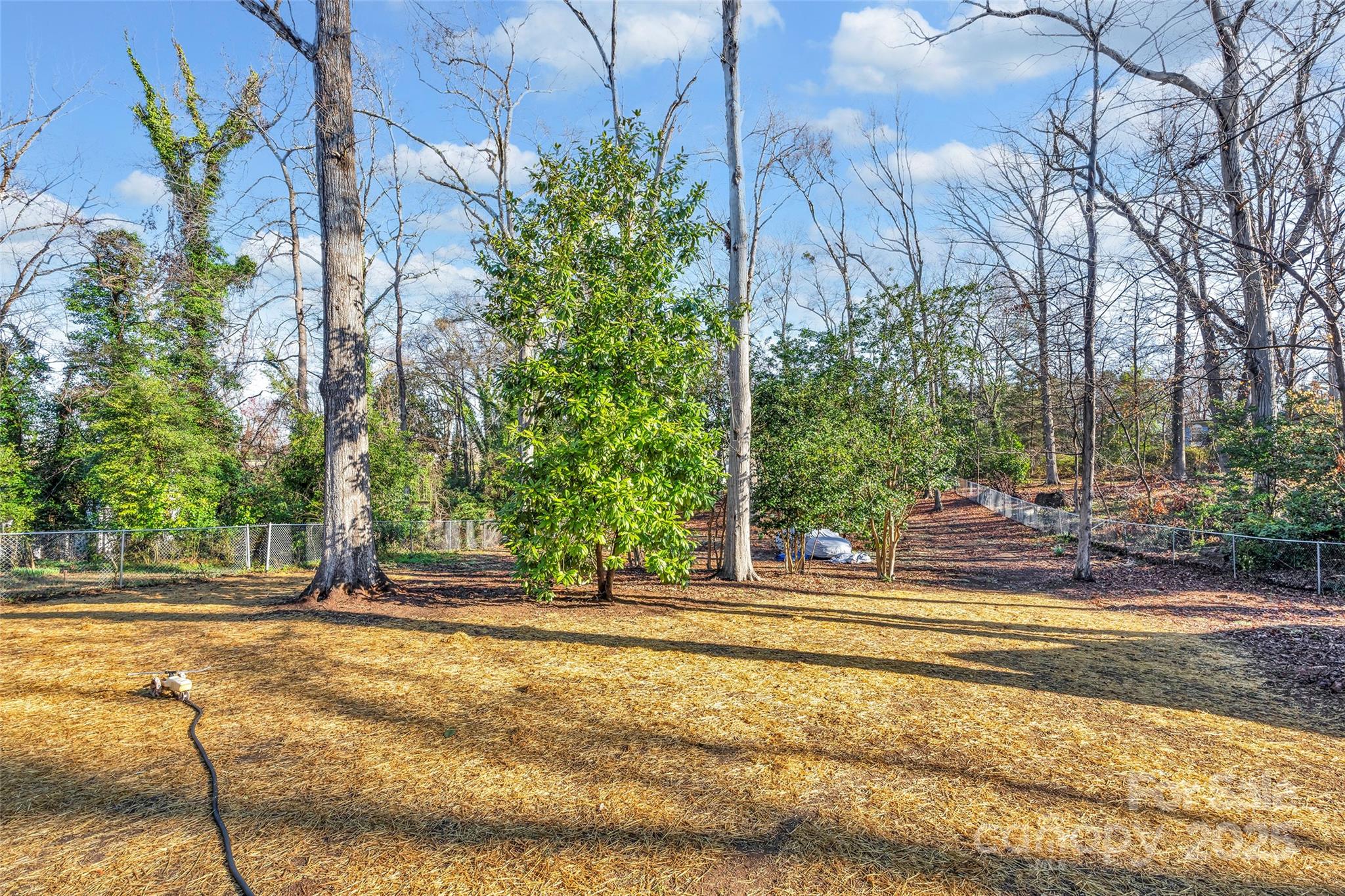 161 Ivy Street