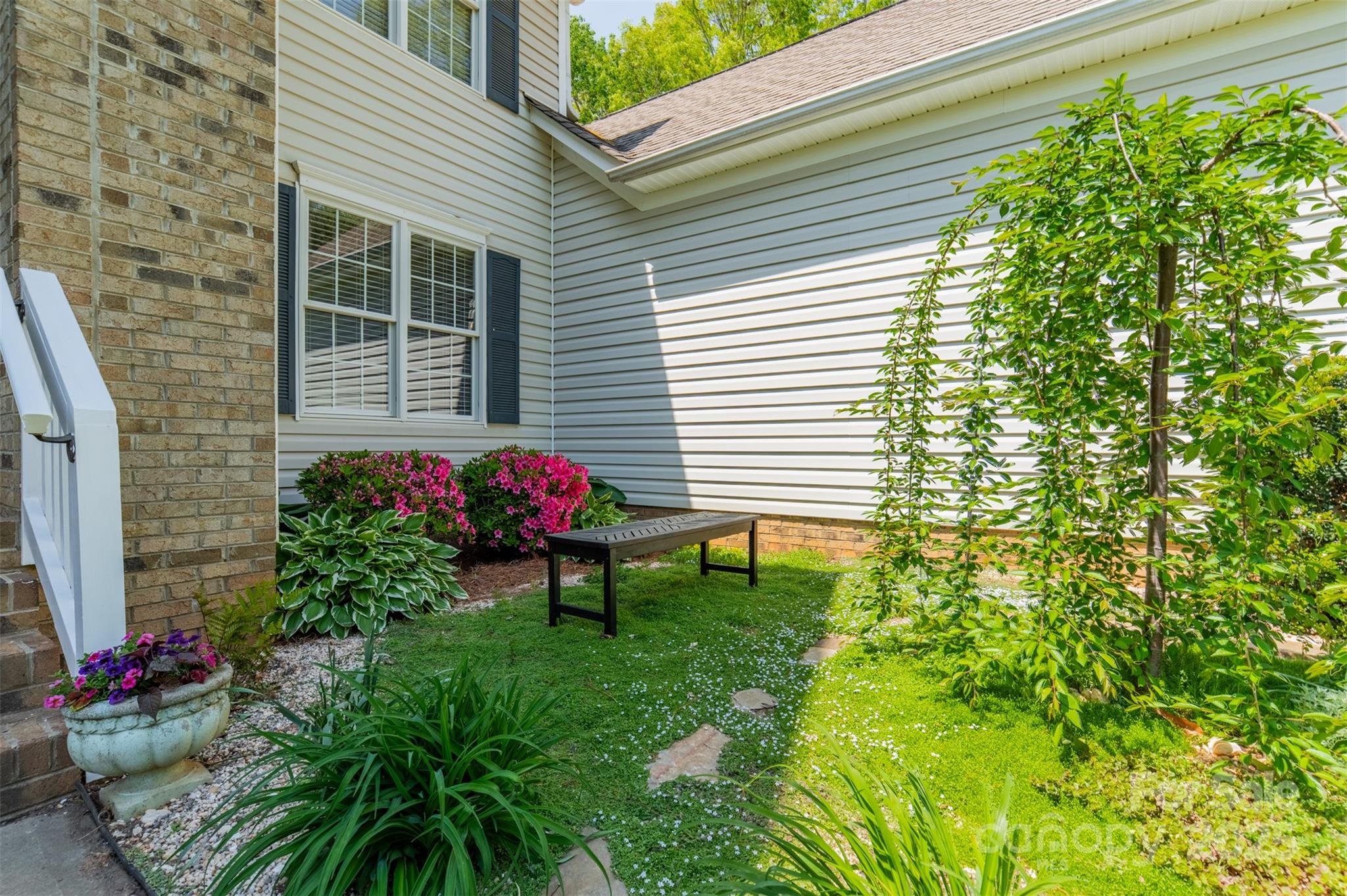 228 Red Dog Drive