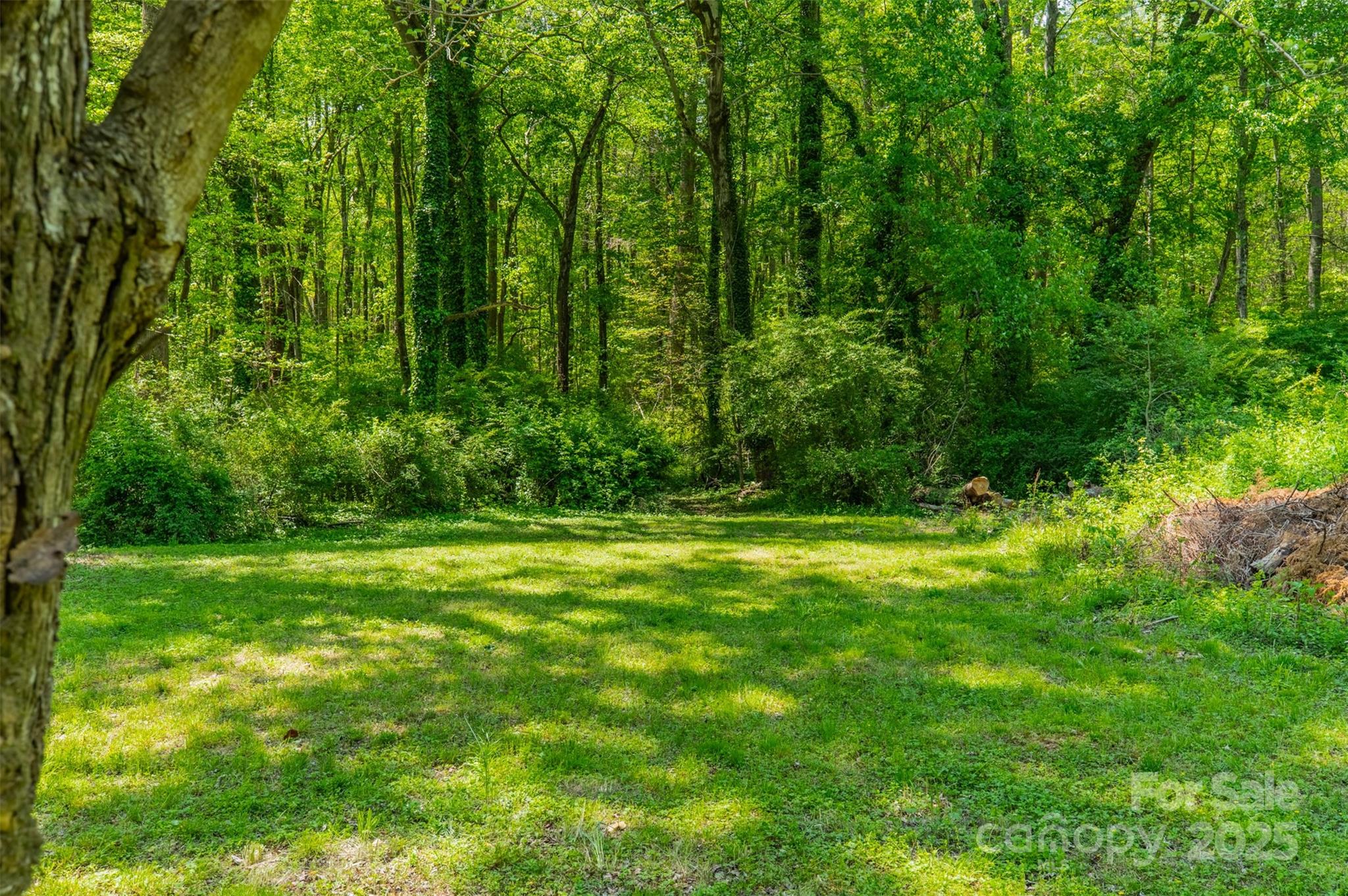 228 Red Dog Drive