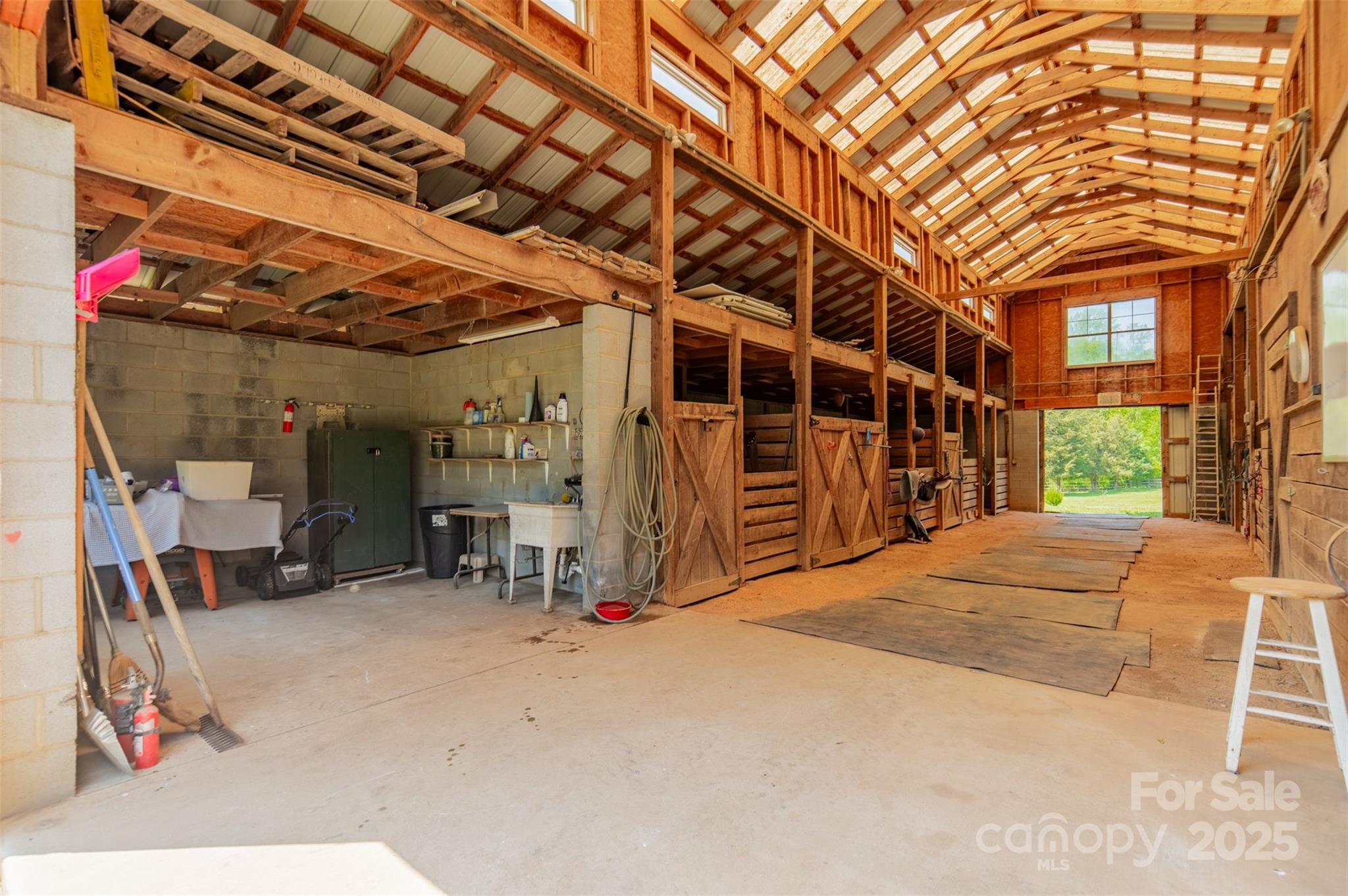 228 Red Dog Drive