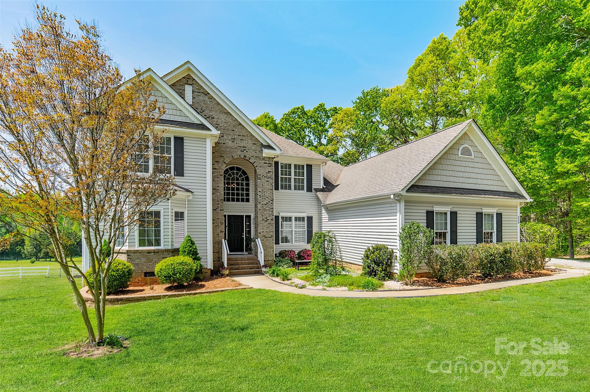 228 Red Dog Drive