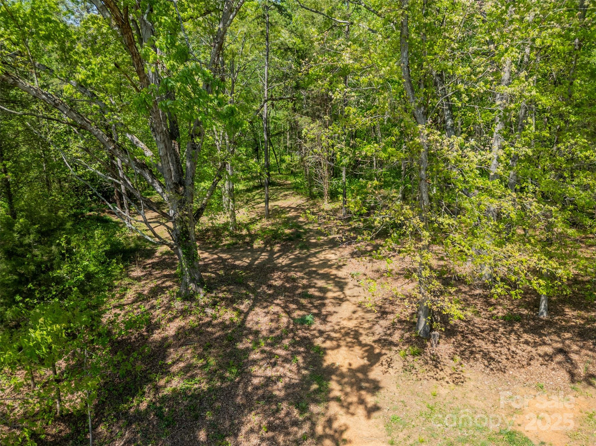 228 Red Dog Drive