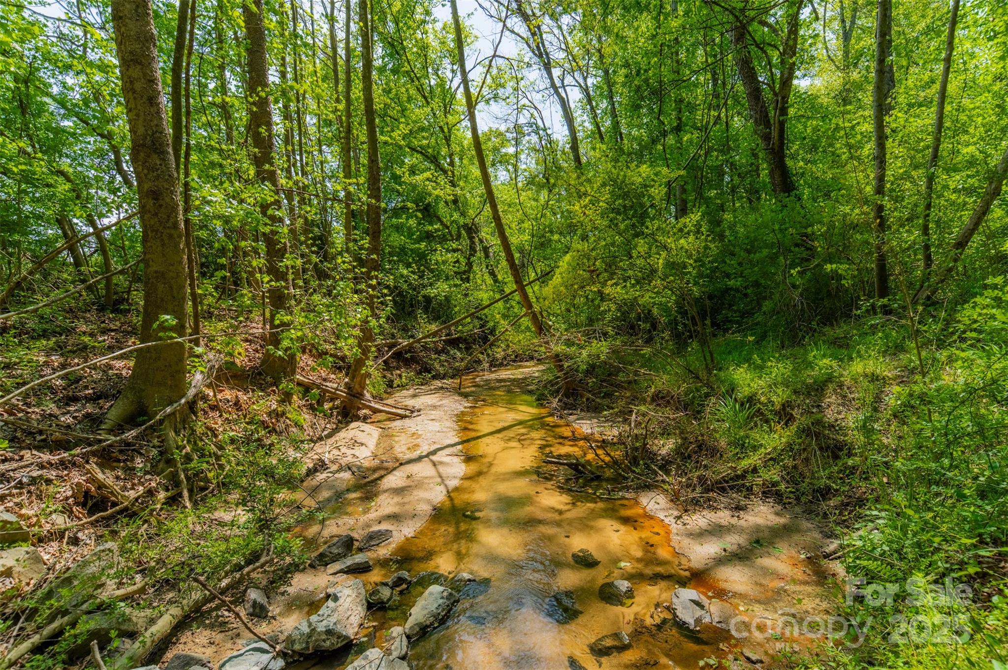 228 Red Dog Drive